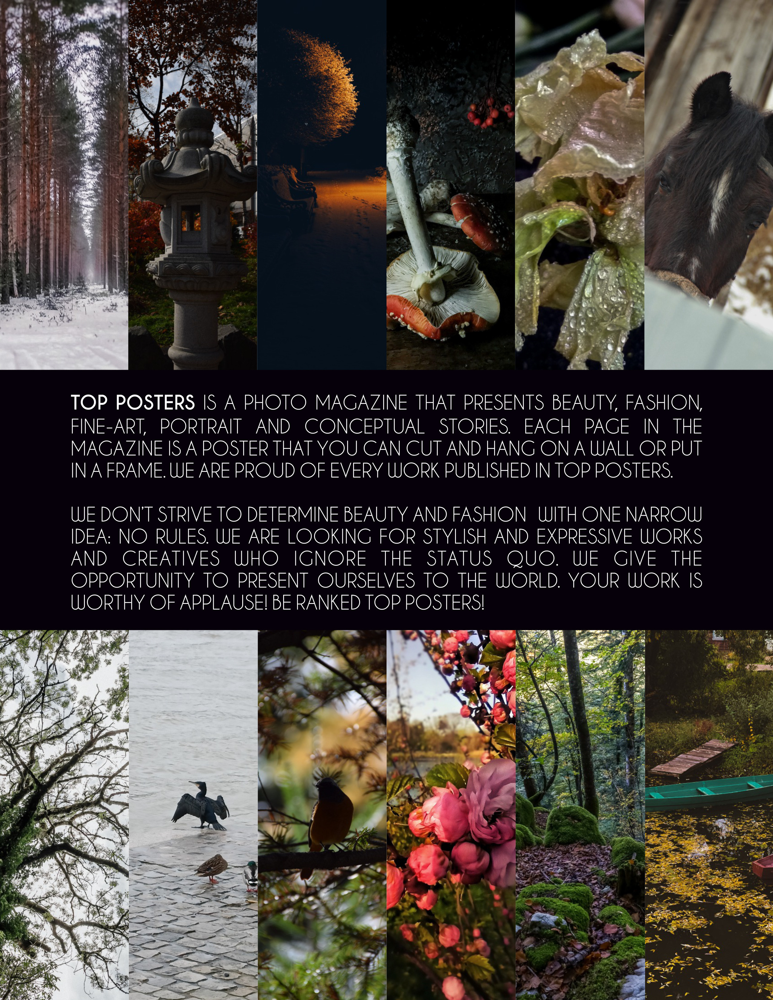 My publications in printed publications, magazines. Фотограф (photographer) Lischinski Vitaliy