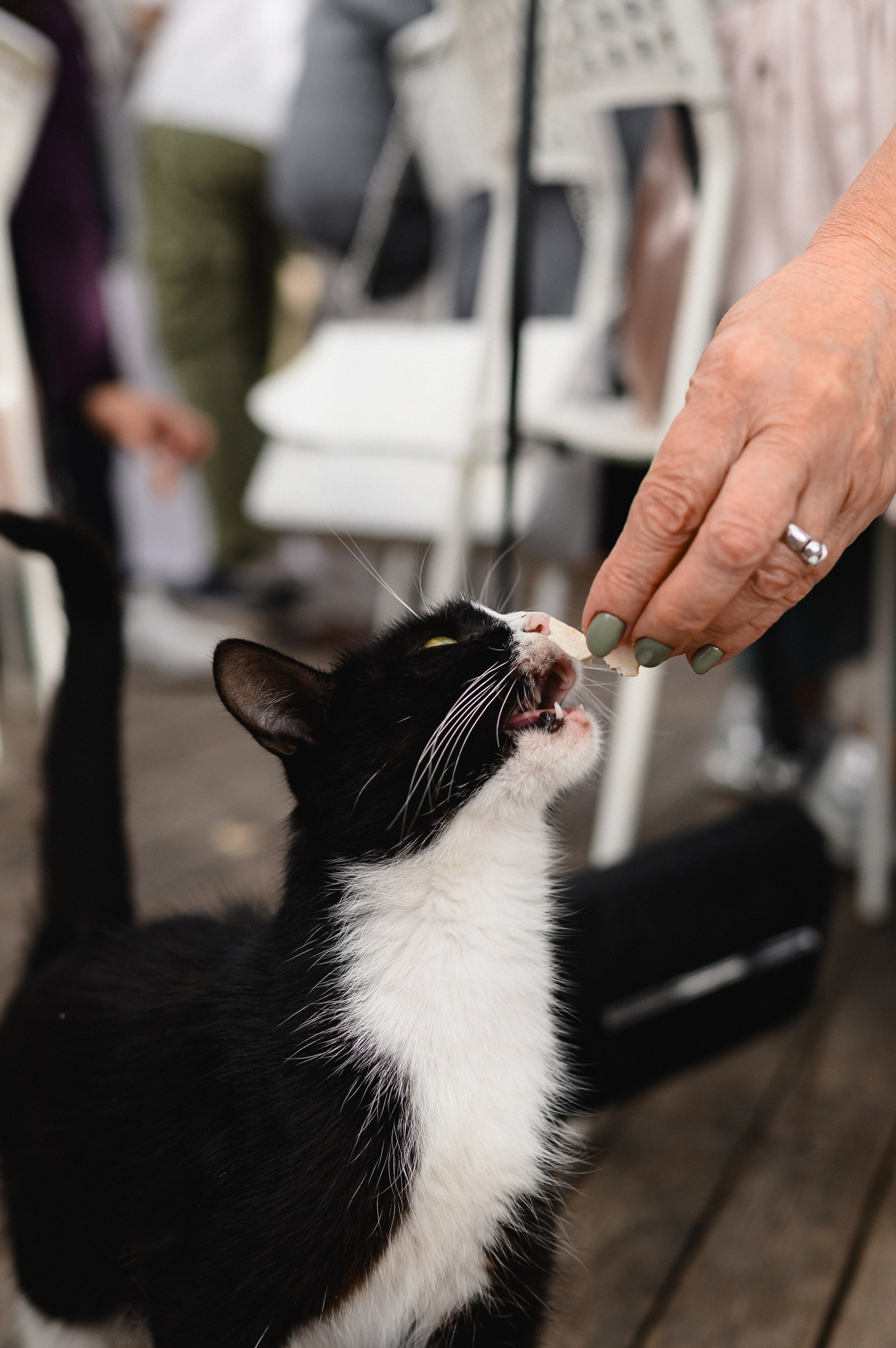 Максим и Екатерина. Фотограф в Красноярске