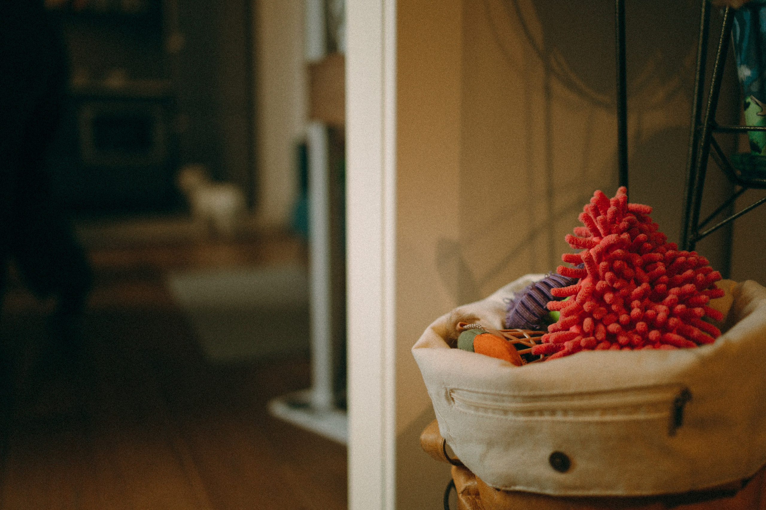 Снежуля, Мари и Саша. Фотограф анималист Анастасия Пикей