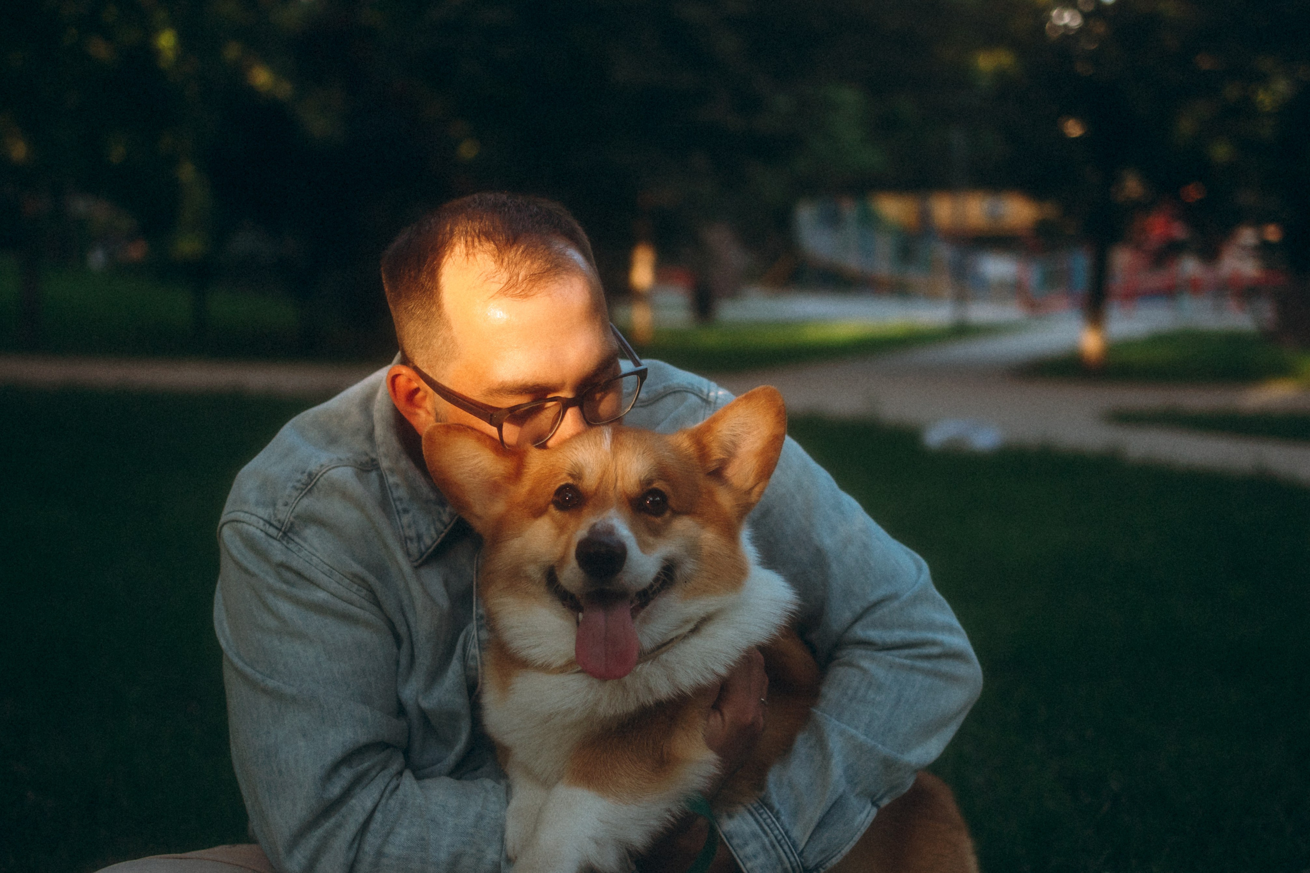 Момо, Люда и Эд. Фотограф анималист Анастасия Пикей