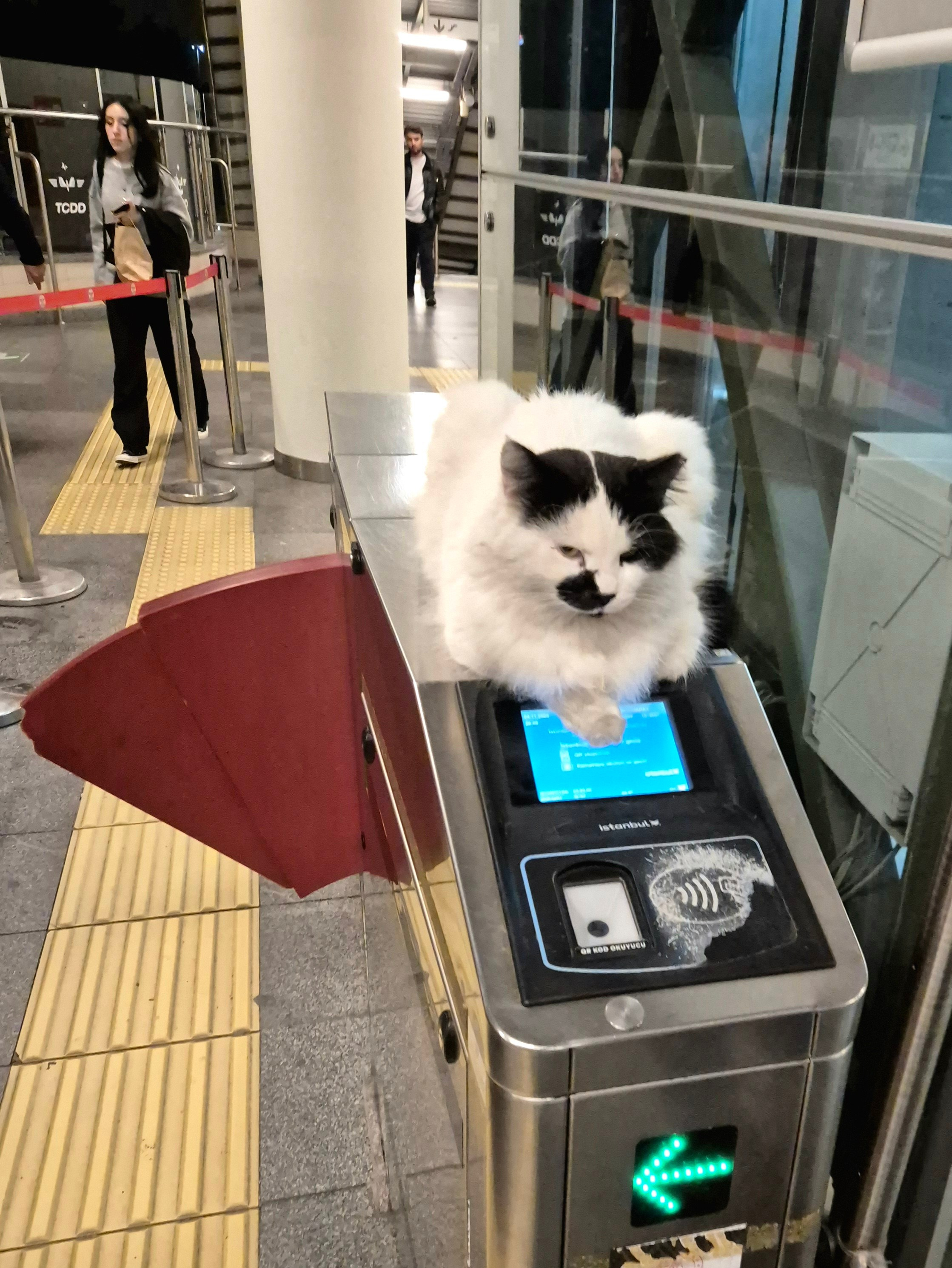 Вот такие контроллеры в стамбульском метро (мармарее)