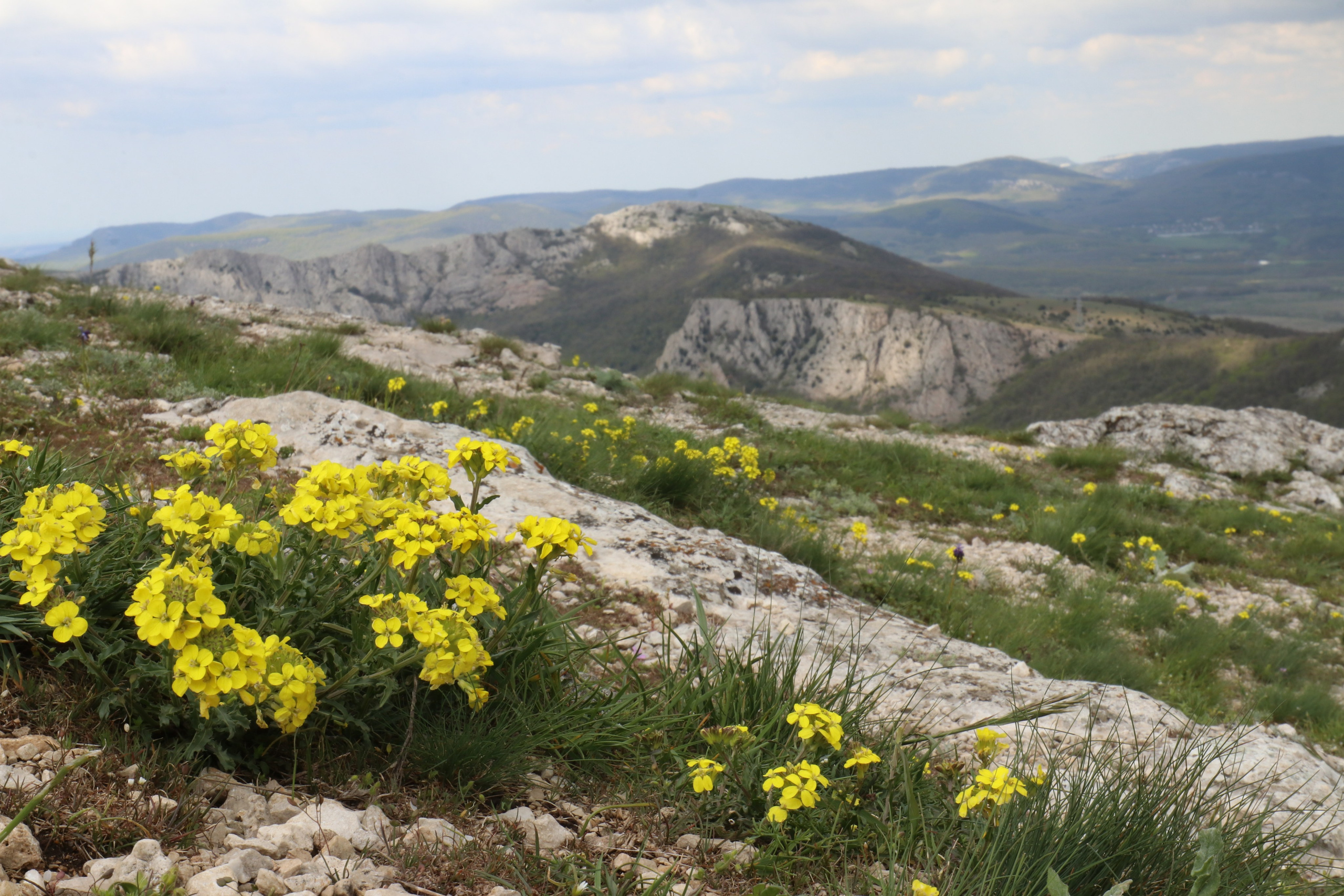 Крым. ЮБК (Севастополь, Кастрополь, Ялта). Май 2023. Путешественник-фотограф из Санкт-Петербурга Татьяна Свистулина