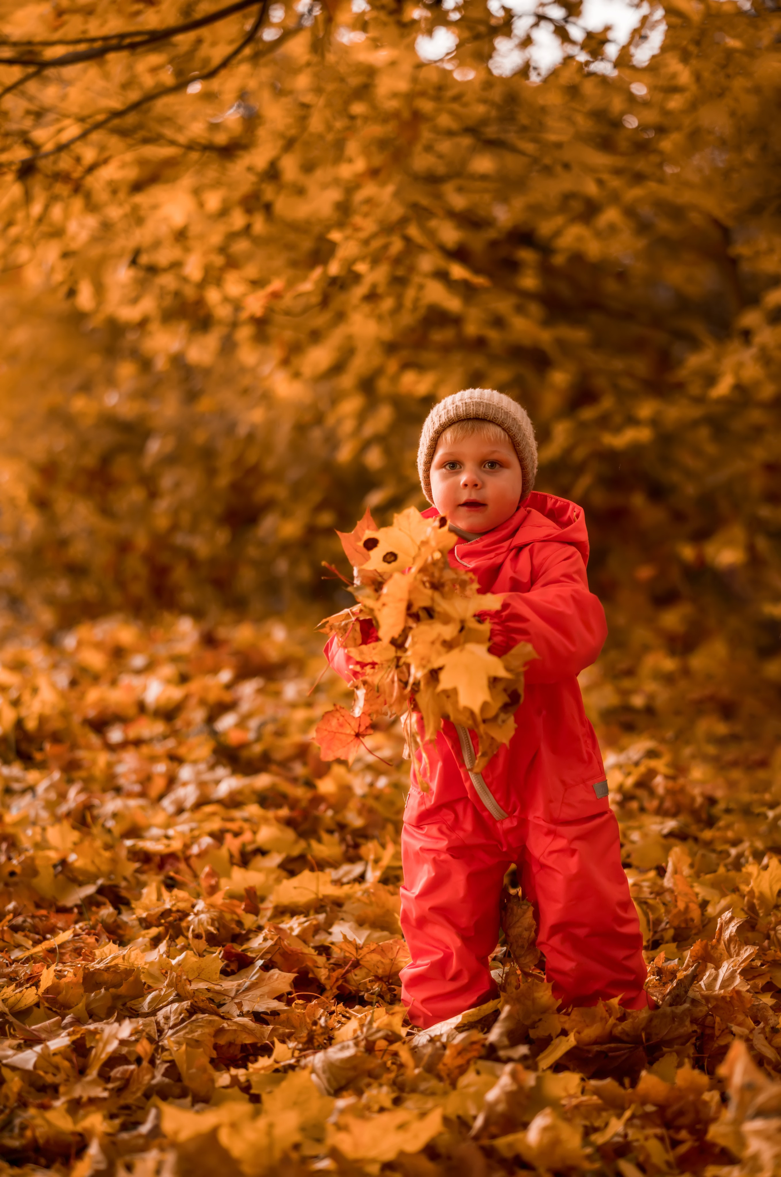 Осенняя прогулка. Семейный и детский фотограф Тула Ясногорск Тульская область Надежда Кукушкина