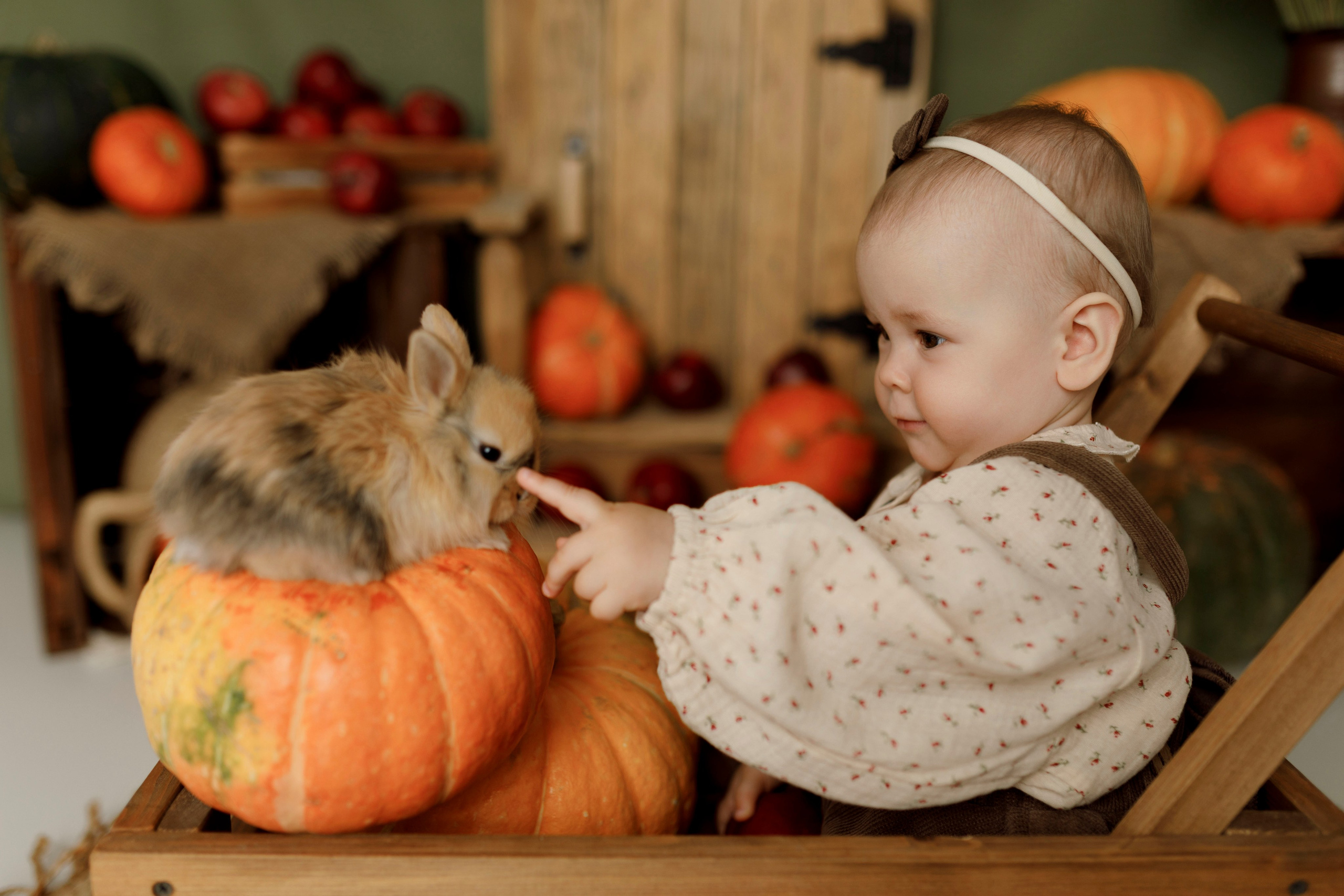 Фотопроекты. Фотограф новорождённых семейный фотограф Томск Елена Каплина