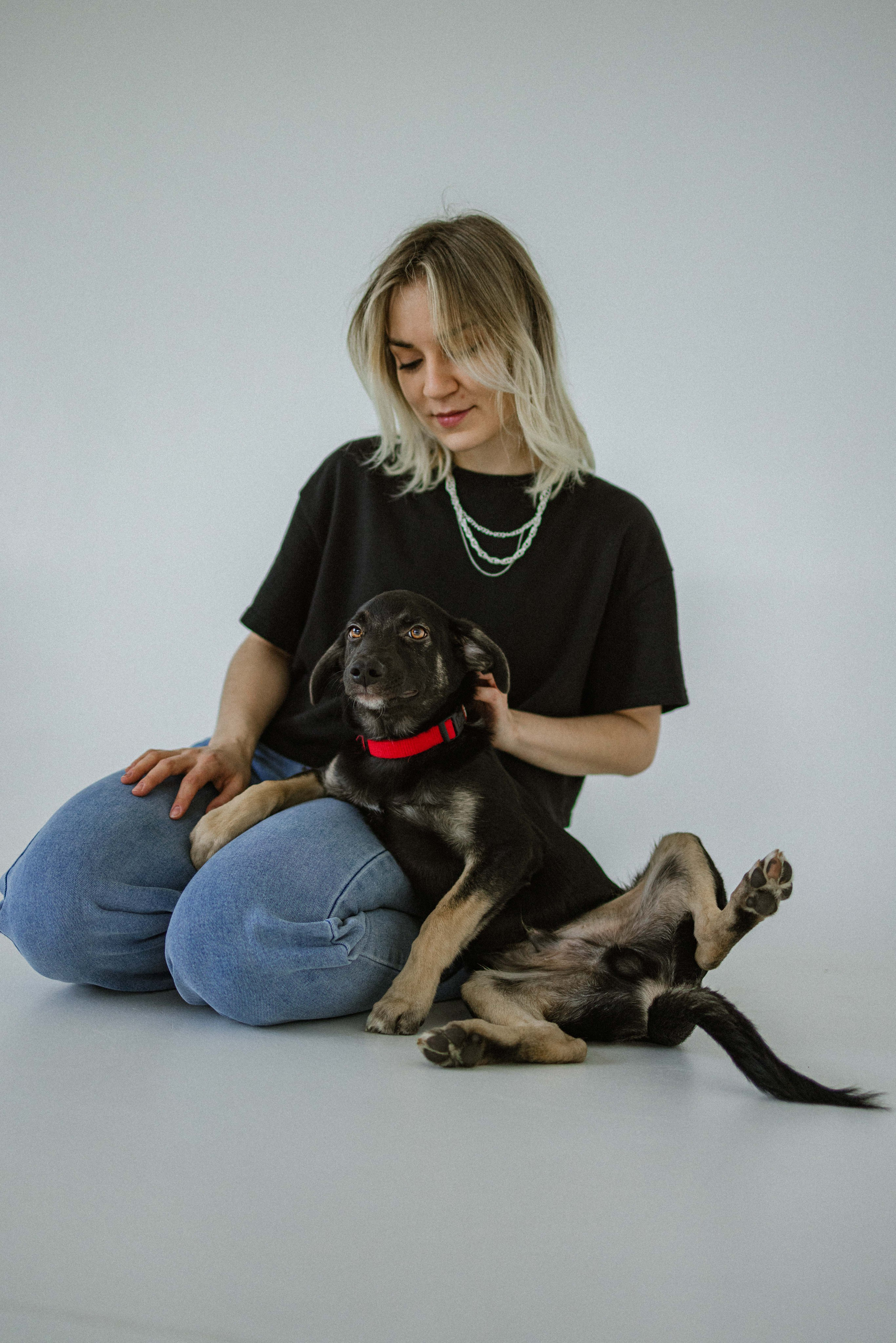 Крис и Тэдди. Фотограф-анималист в Москве Лера Черноног