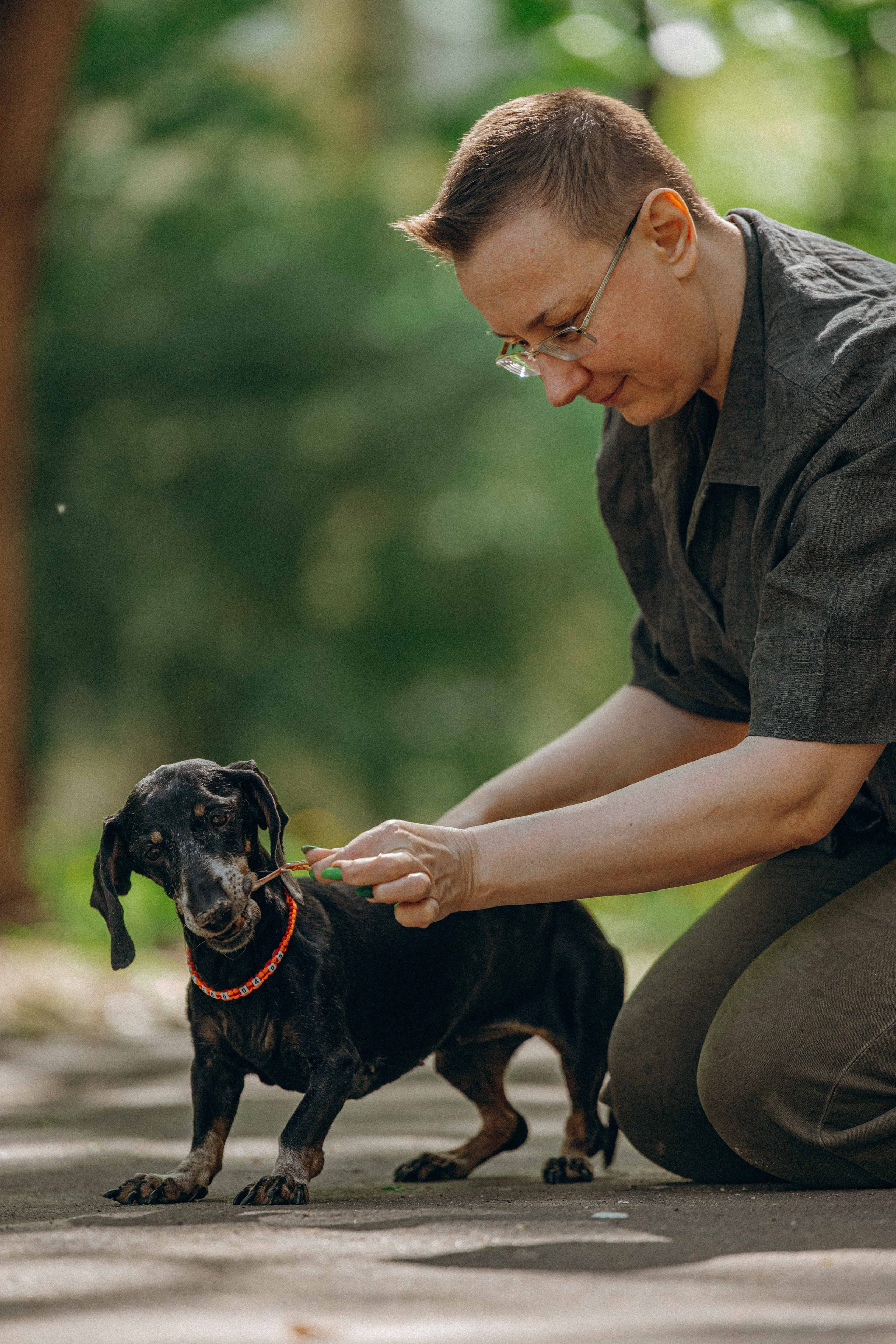 Наталья, Марфа и Норд. Фотограф-анималист в Москве Лера Черноног