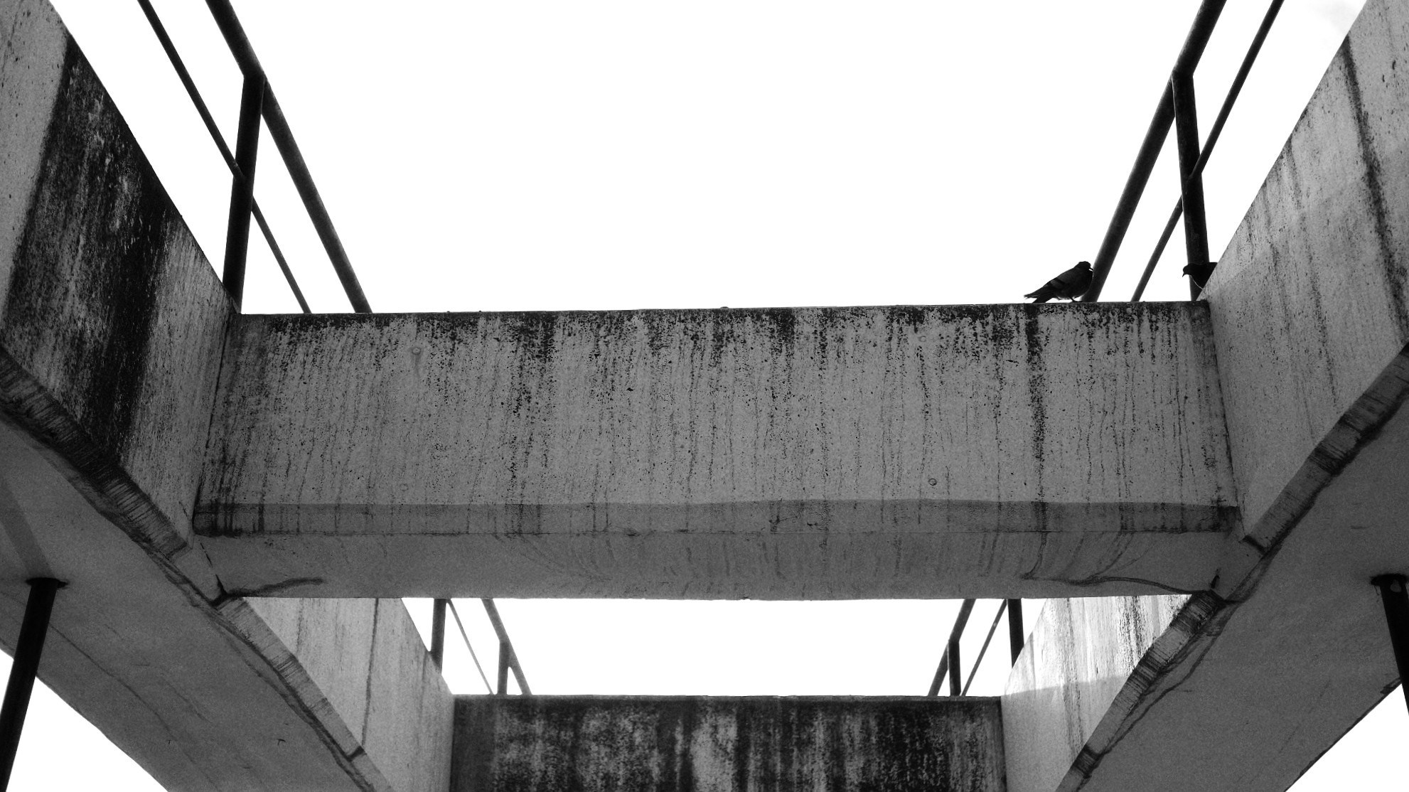 Репортажный и портретный фотограф Василиса Глухова