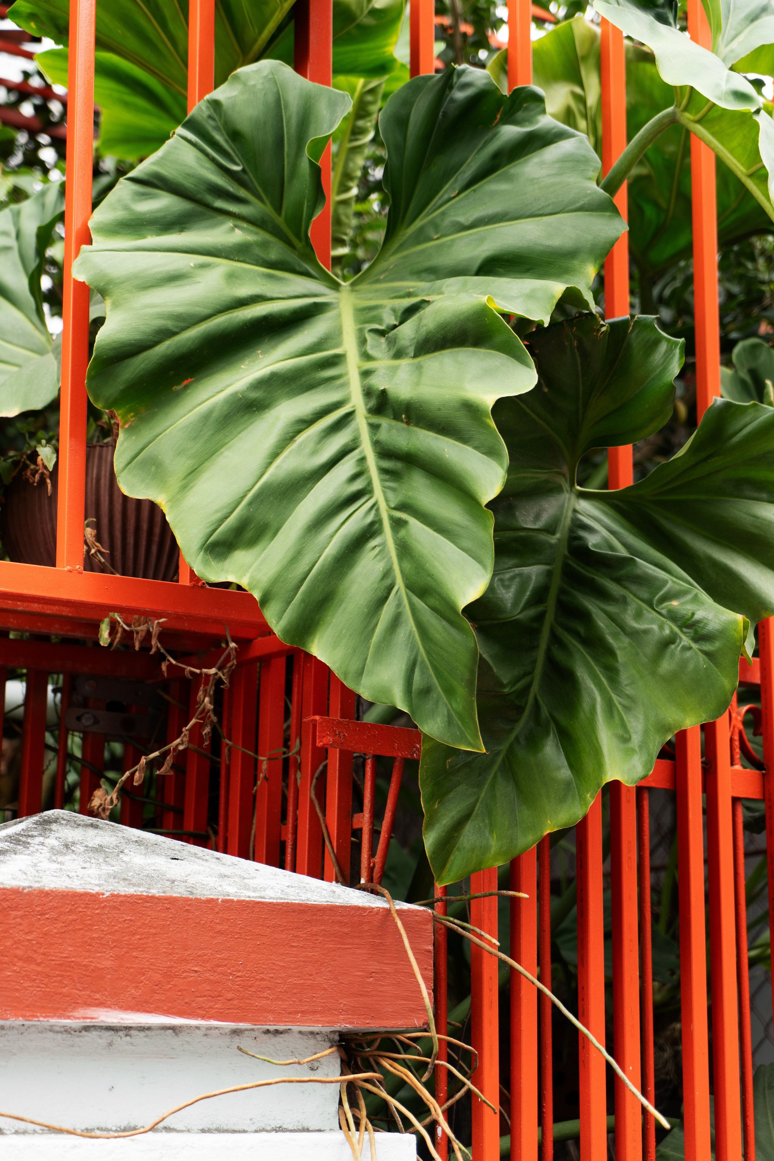 City patterns. Сет дизайнер предметный фотограф в Москве Анна Андреева