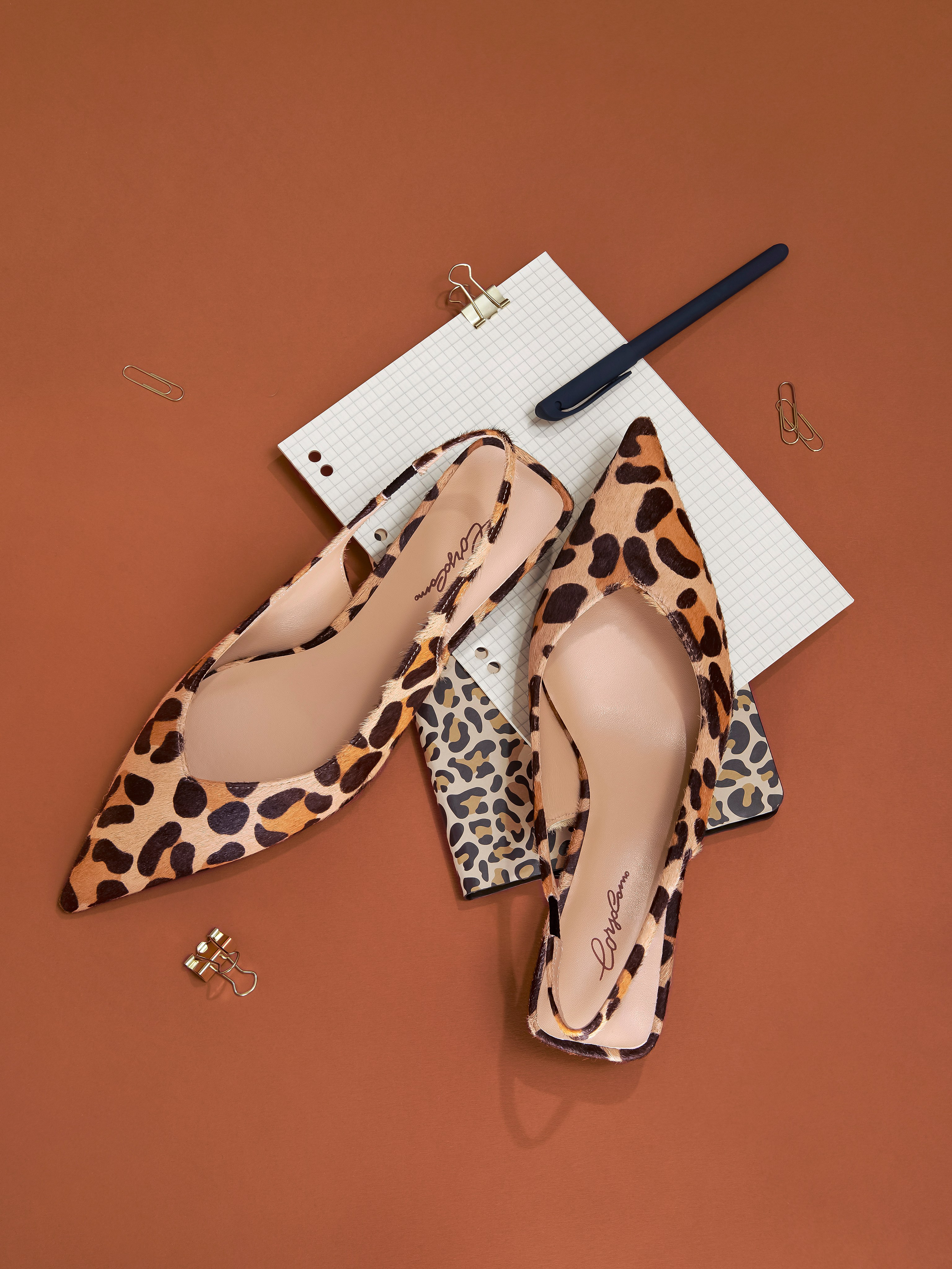 Стилизованная фотосъемка женских туфель. 