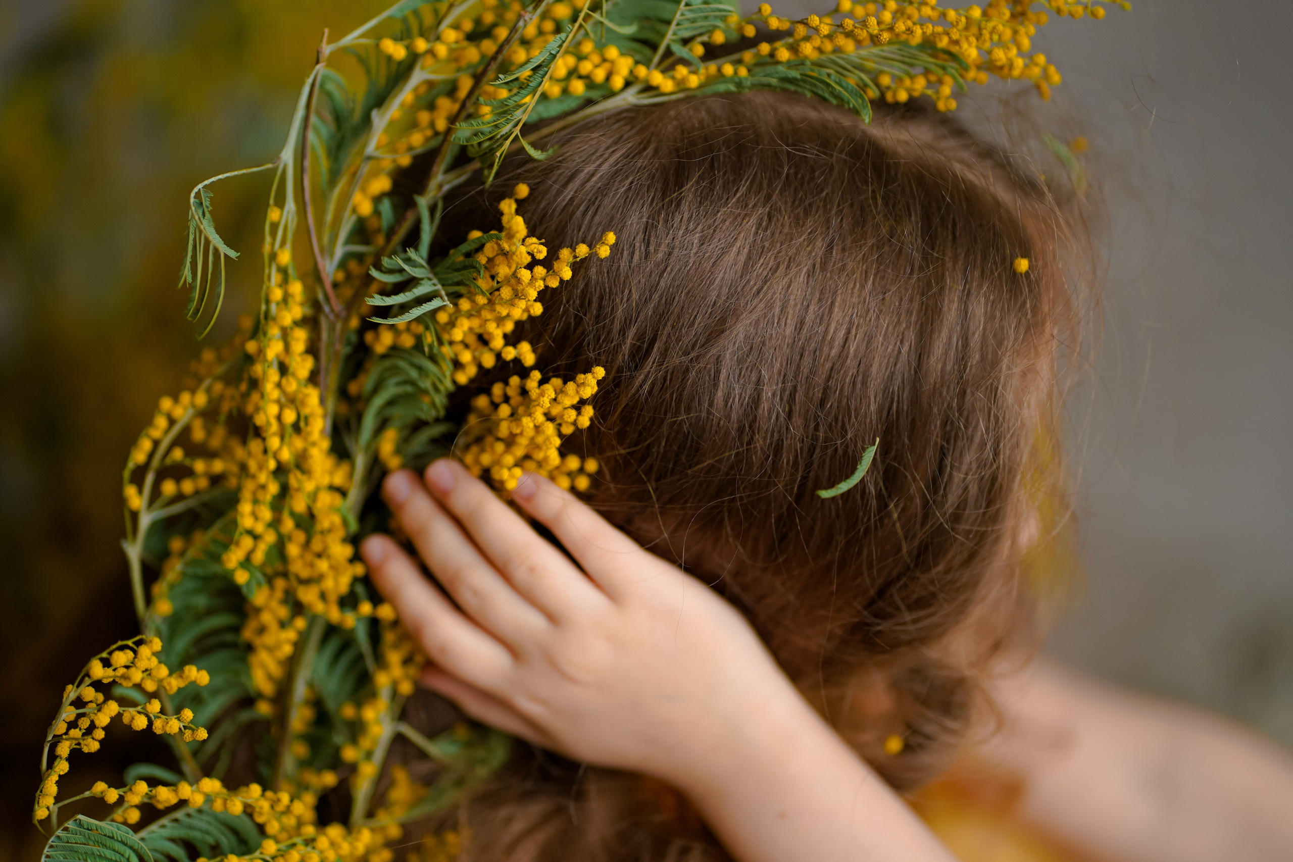 Мимоза. Фотограф Татьяна Митрофанова