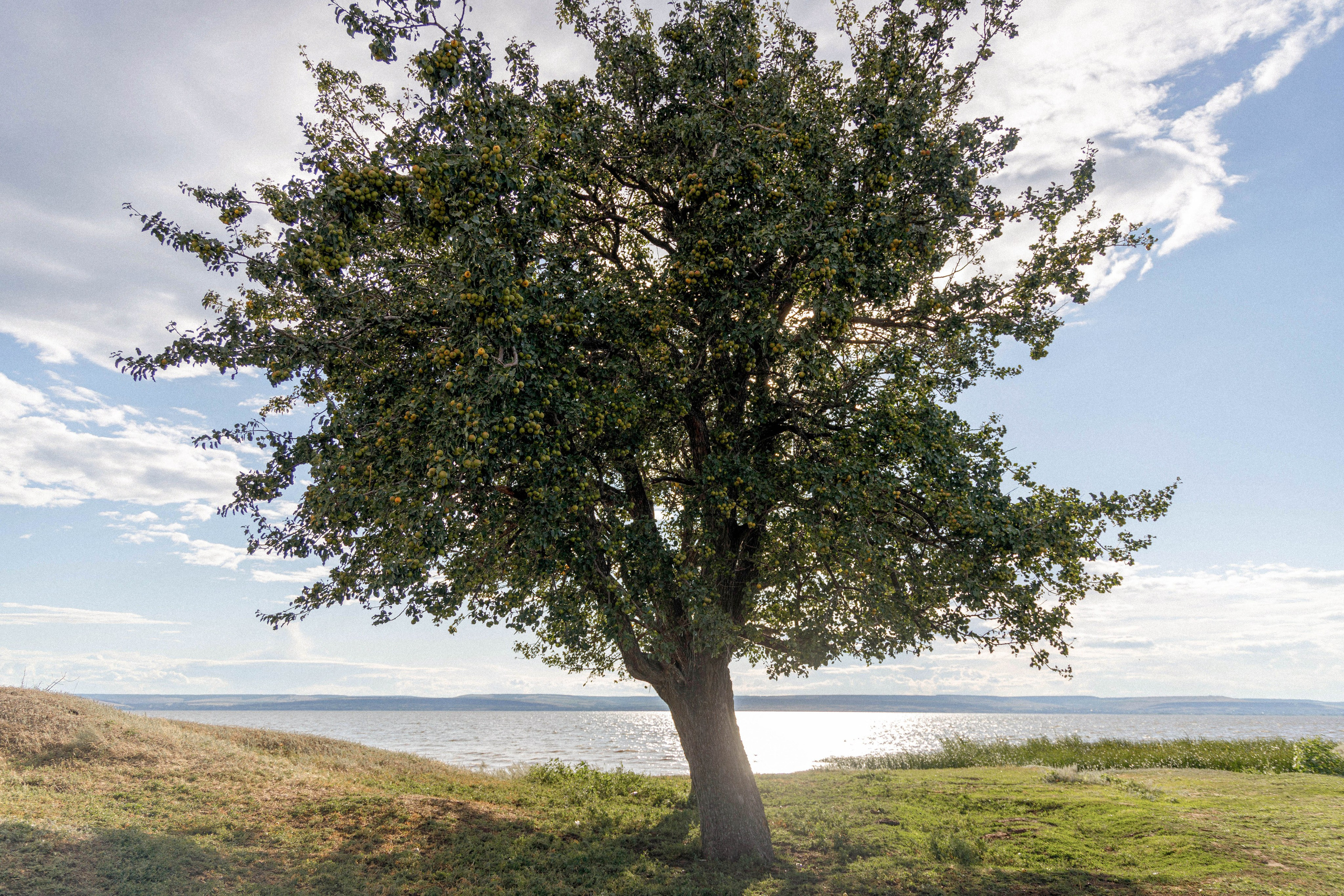LOVE STORY. Свадебный, репортажный, фотограф Москва и Московская область