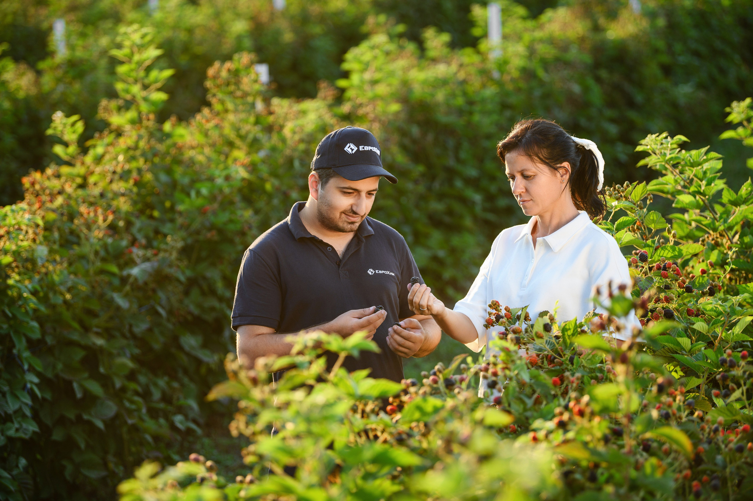 Фото в сельском хозяйстве. Профессиональный фотограф Вячеслав Плацында | Липецк |