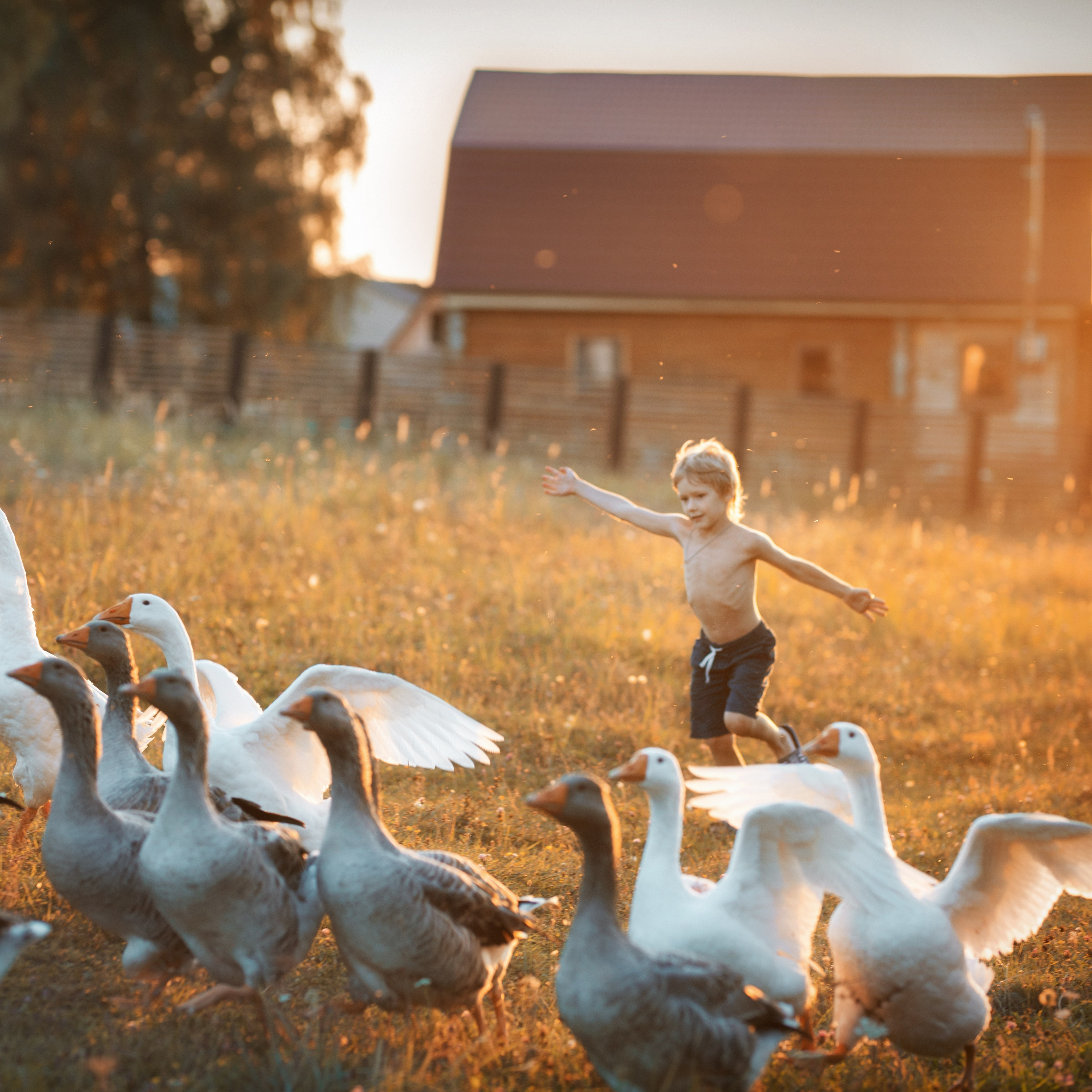 Дети. Портретный фотограф в Москве Наталия Комарова