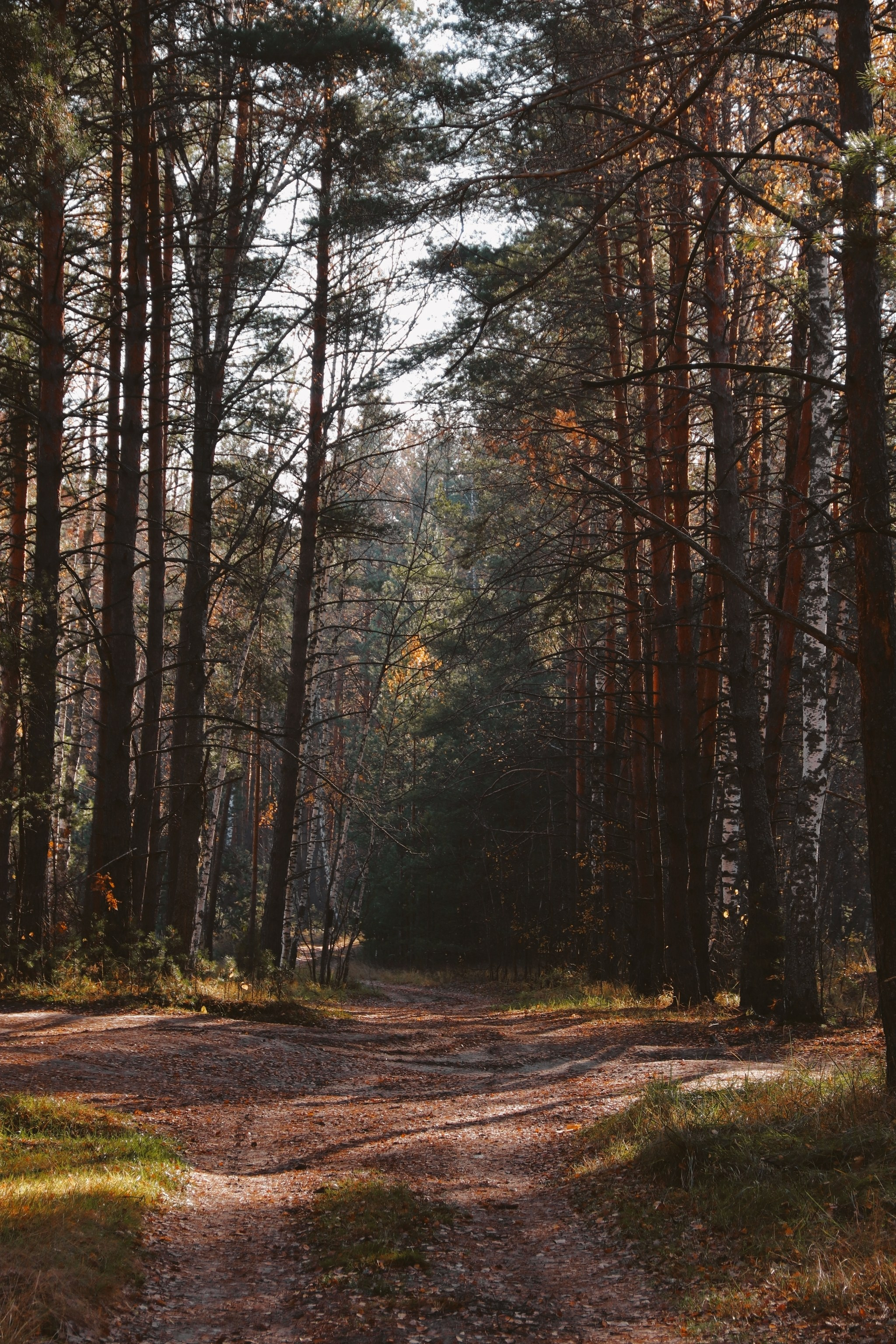 По тропе Паустовского. С любовью, фотохудожник