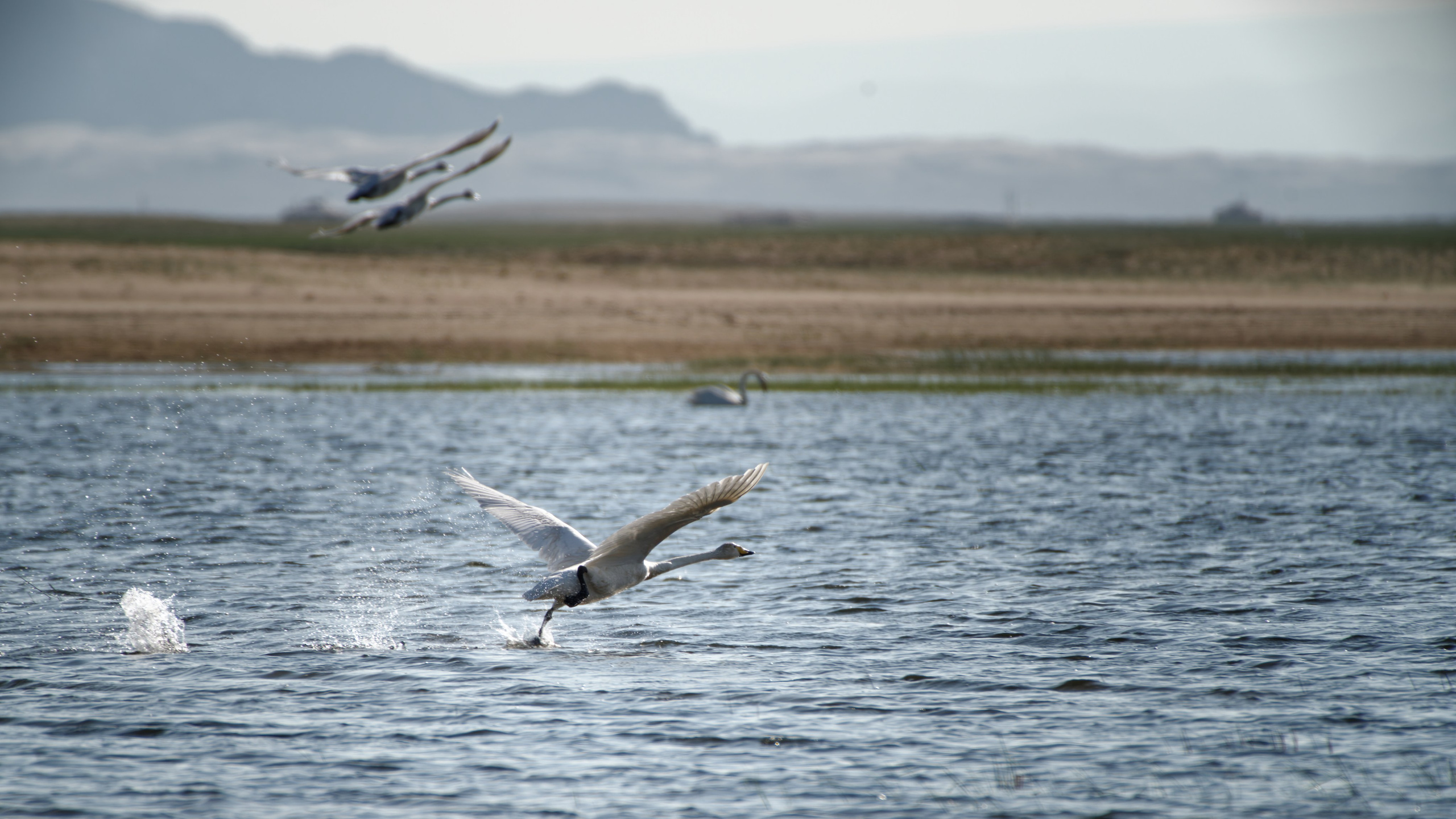 Экспедиция в Монголию (Гоби). Семоха Валерий. Фотограф