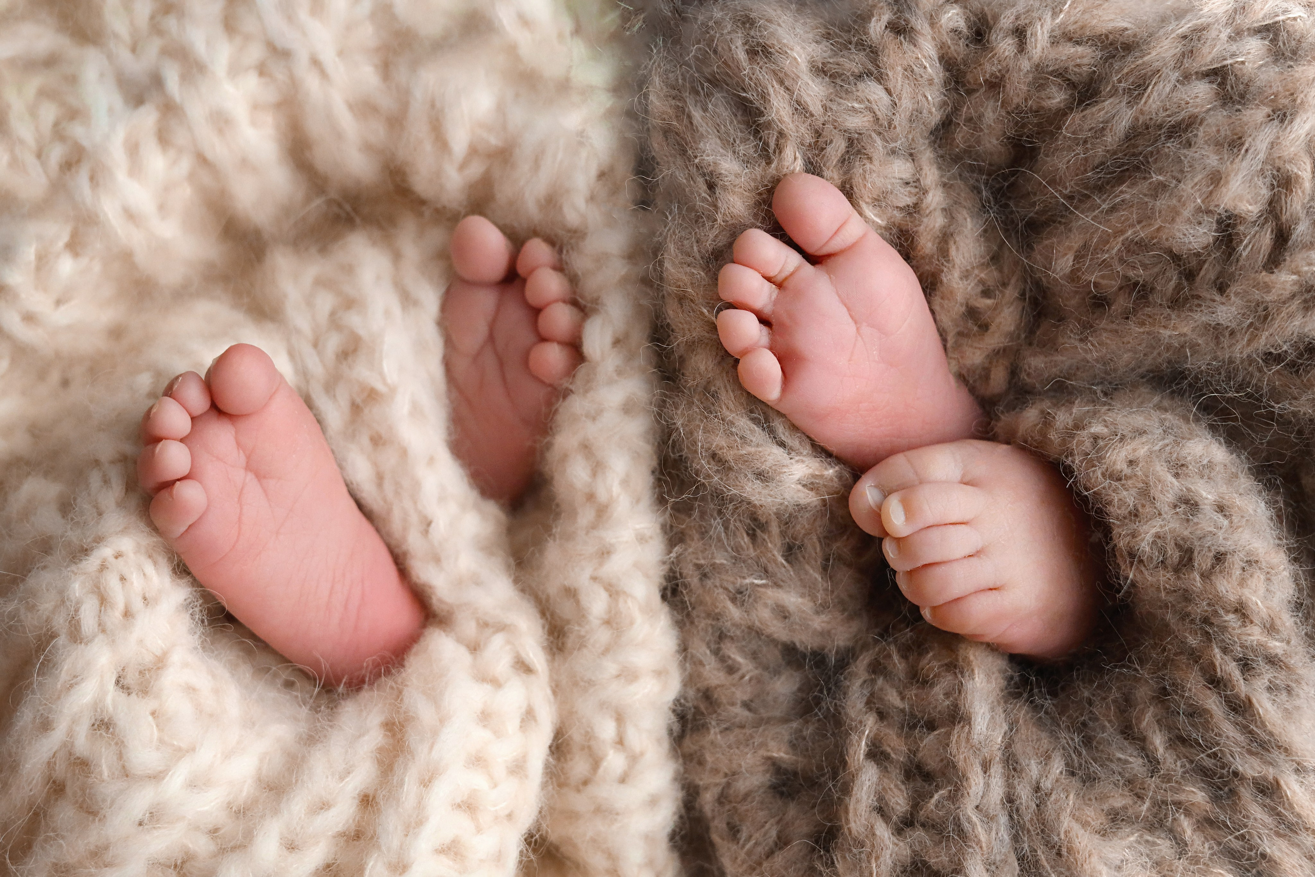 Ян и Филипп, максимальный пакет, классический стиль + natural. Фотограф новорожденных Москва. Ньюборн фотограф Москва