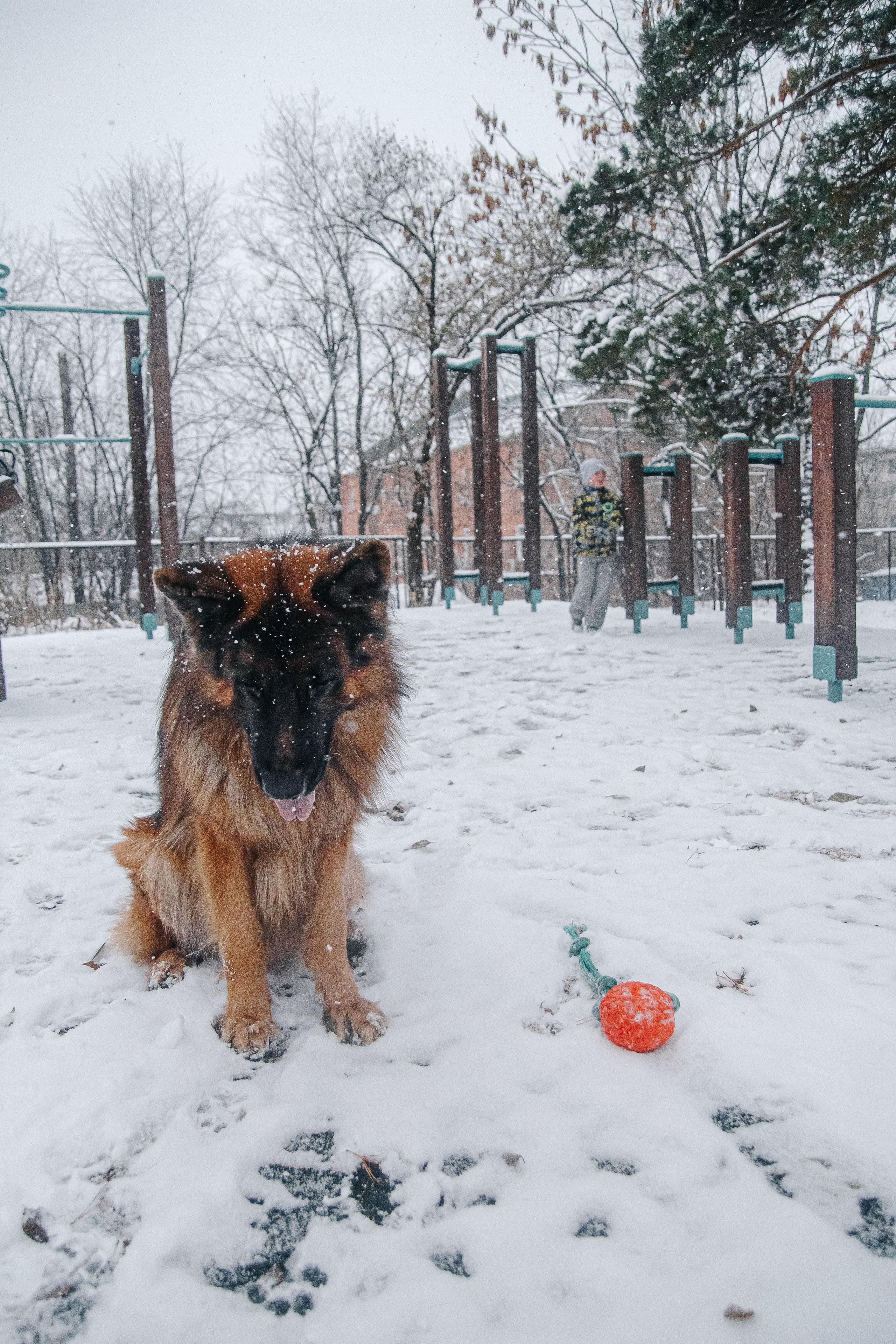 Первый снег 24. Фотограф в Хабаровске Юлия Чванова