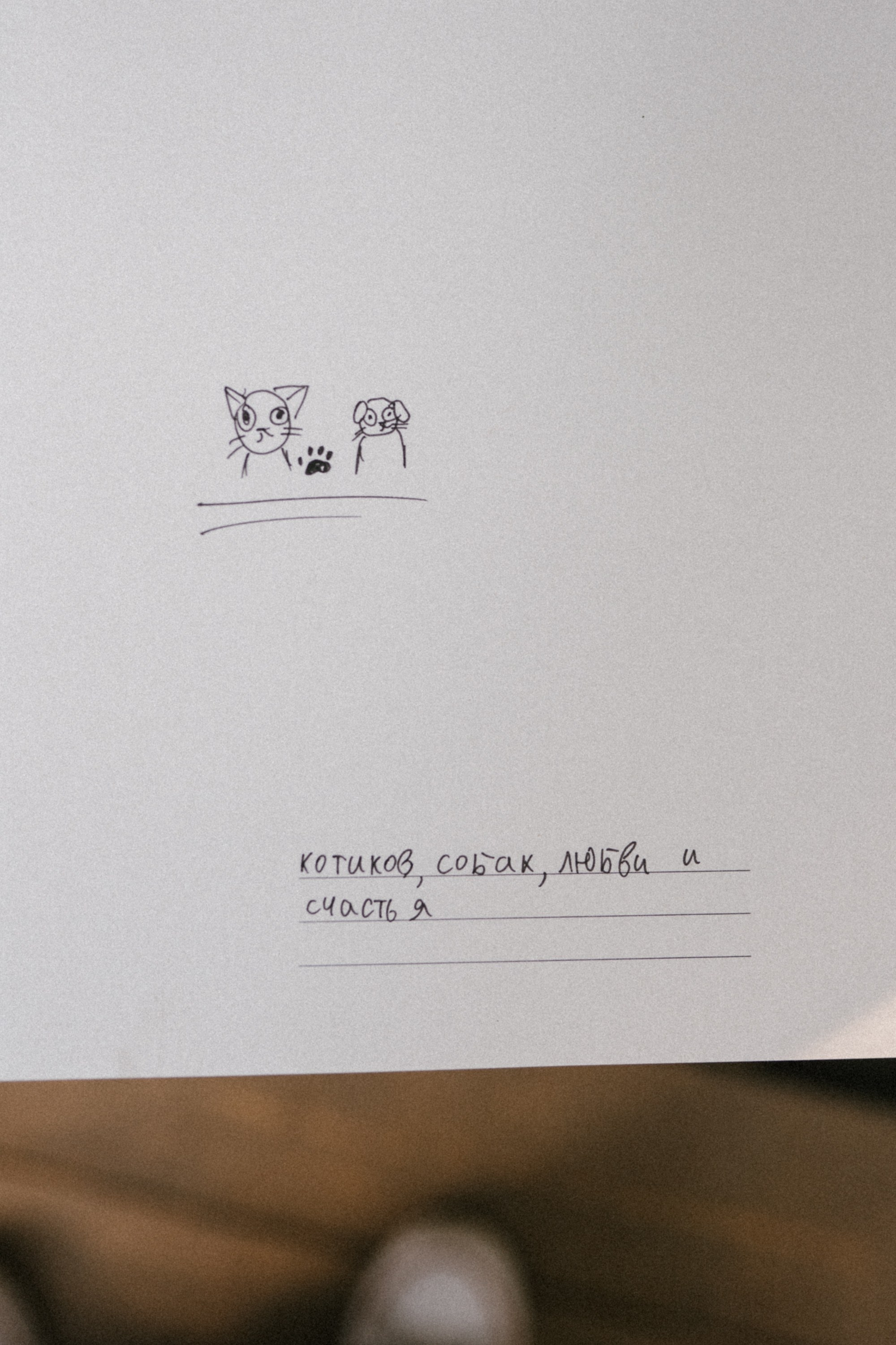 Свадьба: Игорь и Алёна. Катя Сагалаева. Свадебный фотограф Новосибирск