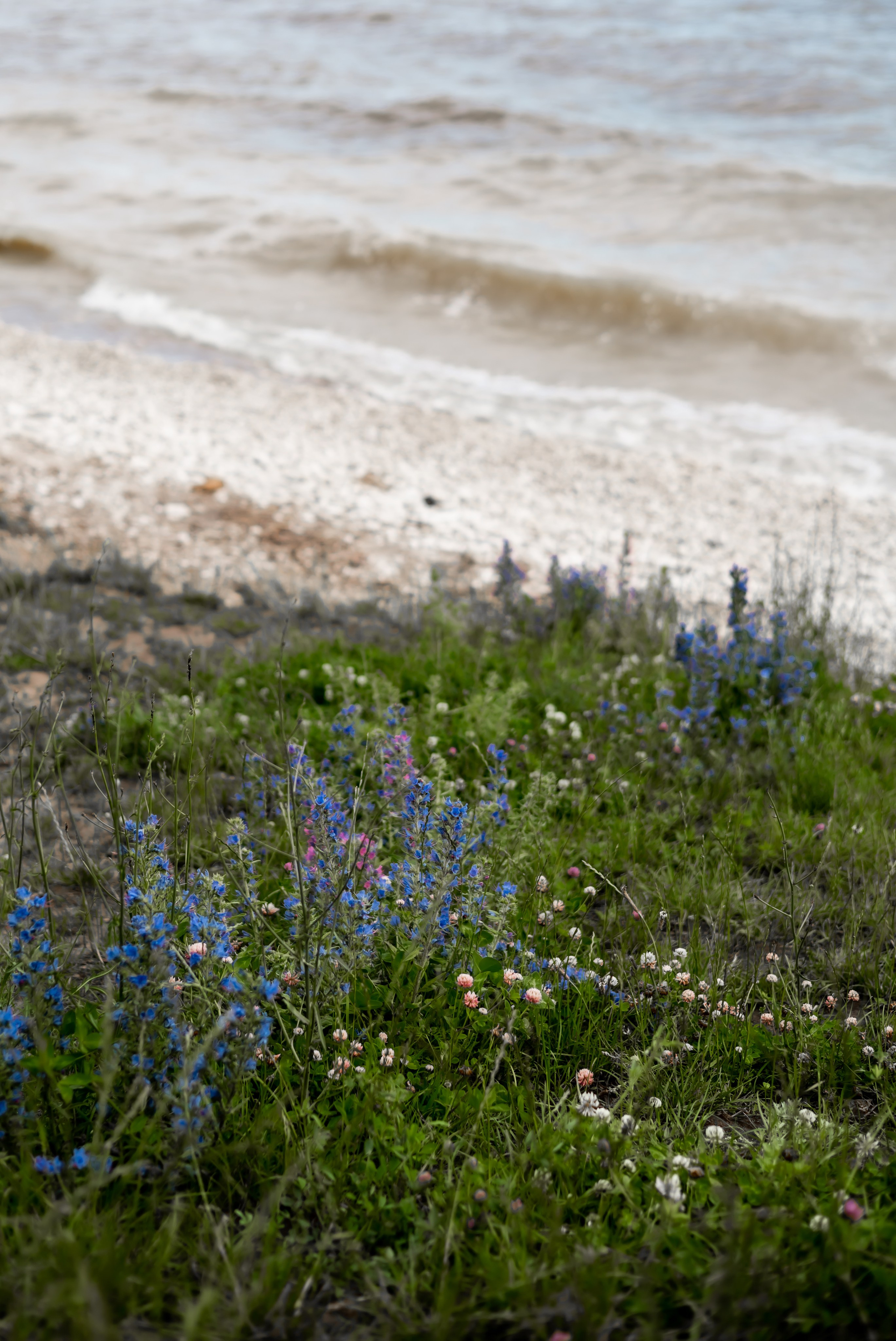 Айдар+Ильгиза. Фотограф Элла Ефимова