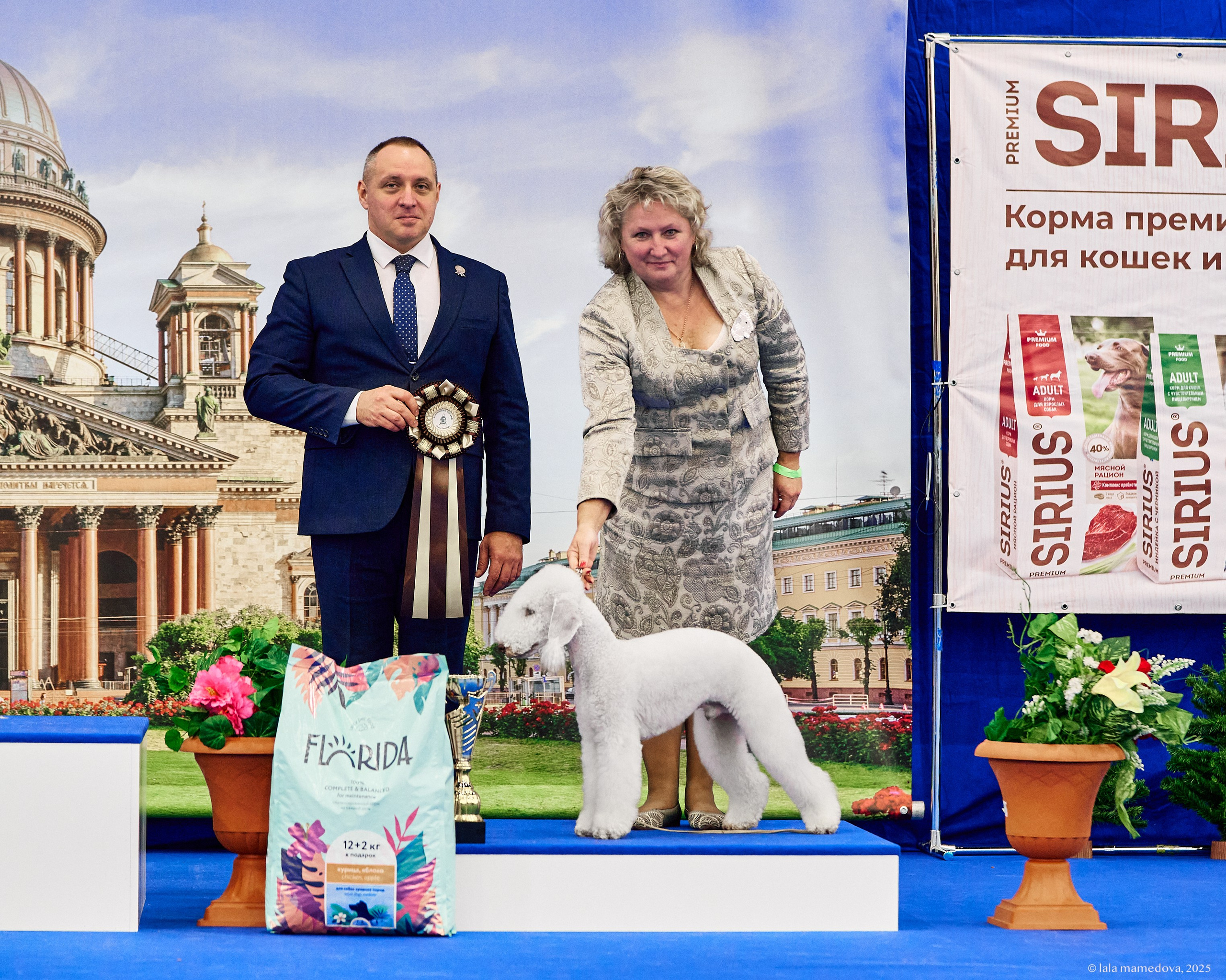 22-23 FEB 2025 | NATIONAL DOG SHOW «BALTIC TRIUMPH-2025»
