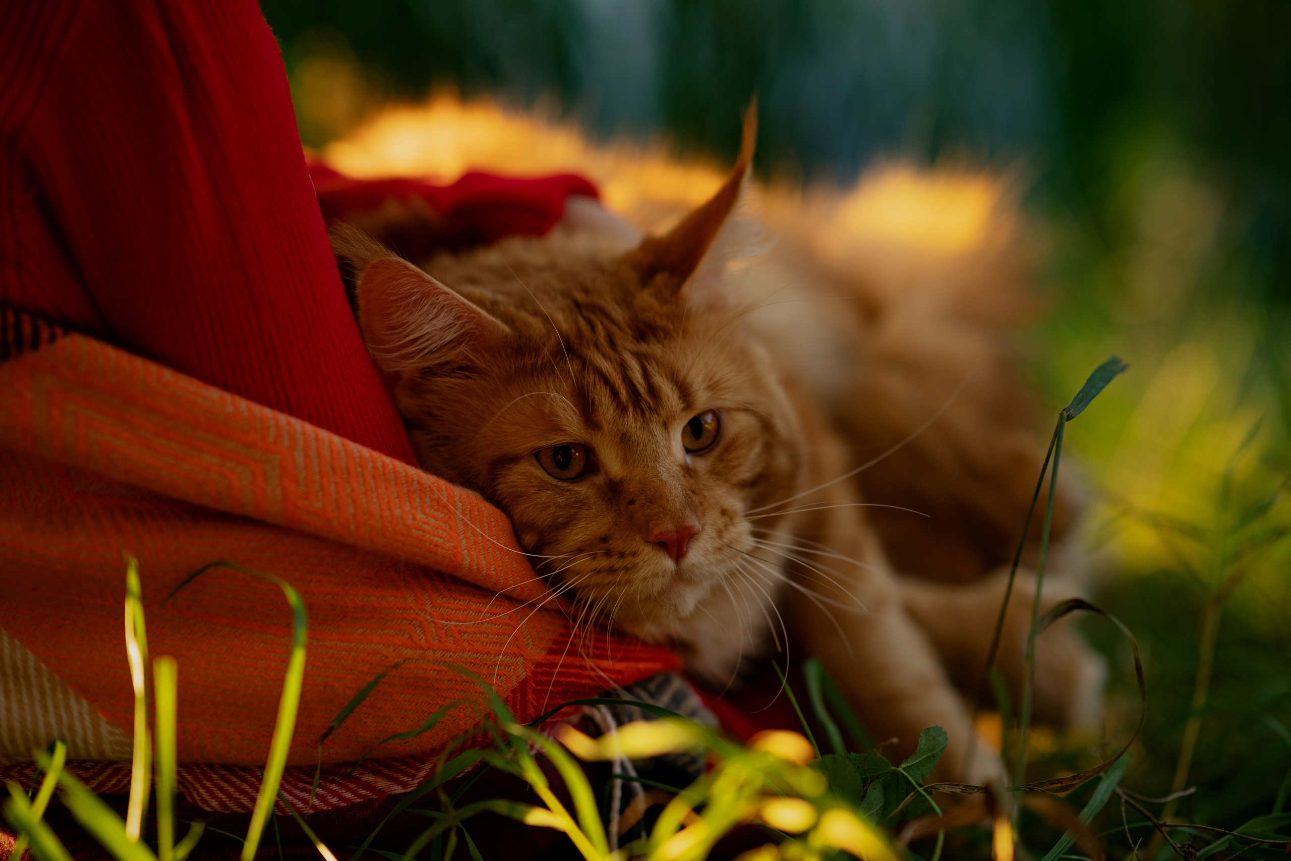 Варя. Индивидуальный фотограф в Самаре Кузнецова Мария