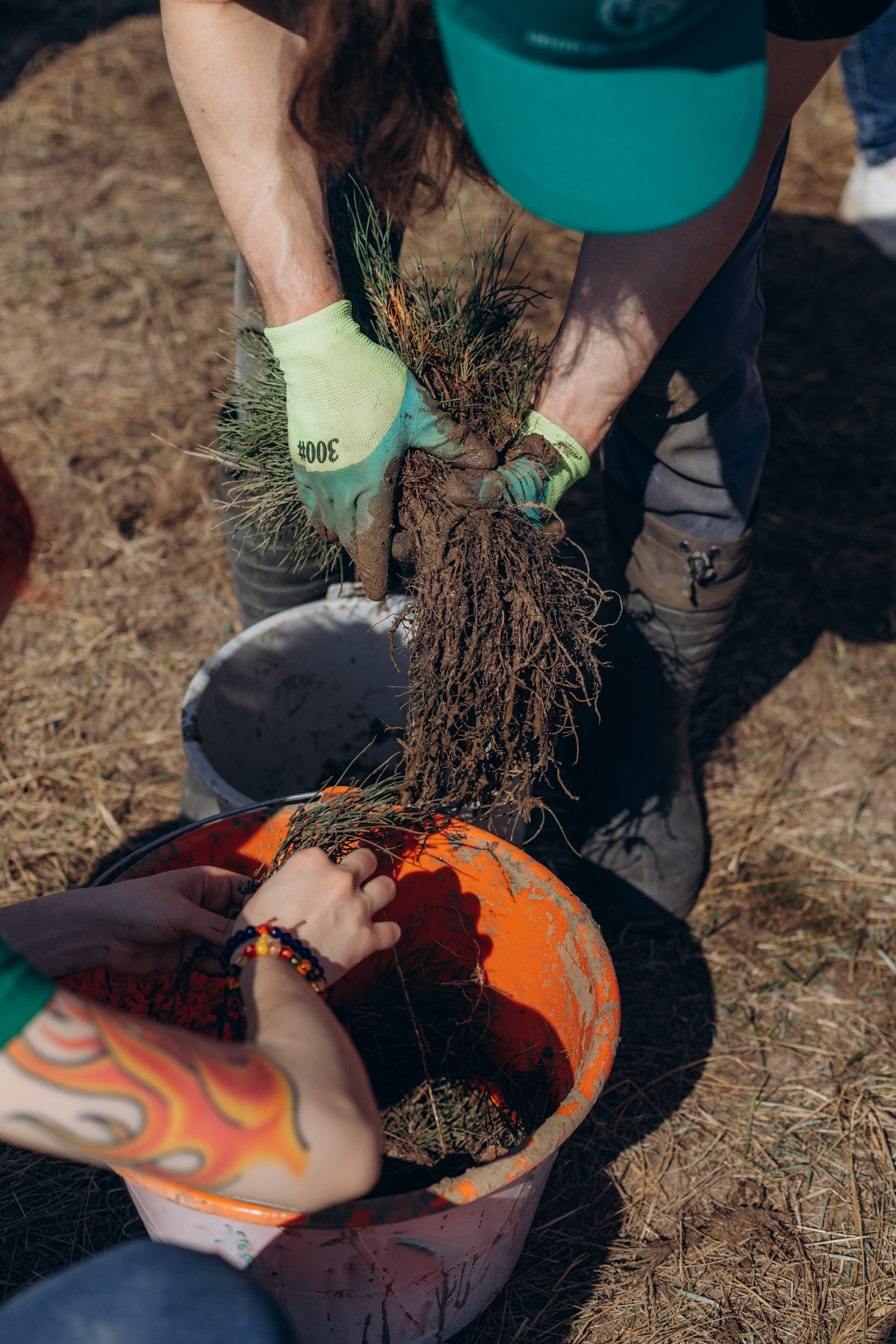 Акция «Лес будущего». Артём Панфилов — Свадебный и семейный фотограф в Ростове-на-Дону