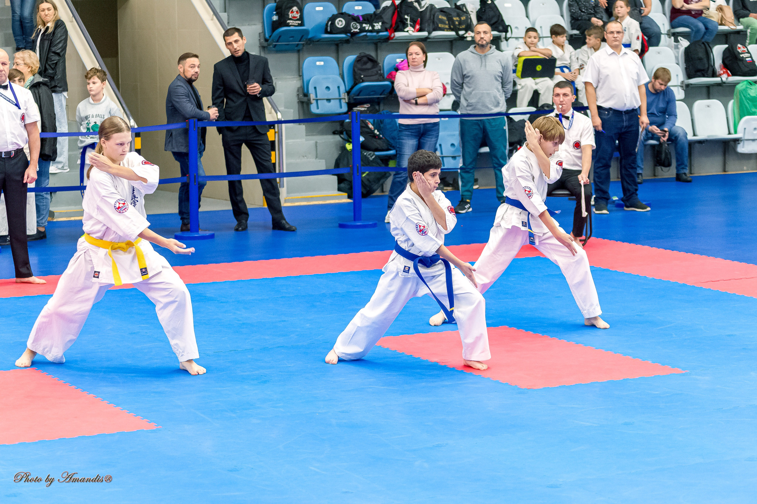 Чемпионат по Киокушинкай Центрального Федерального округа. Репортажная съемка в Москве и области. Анималистика