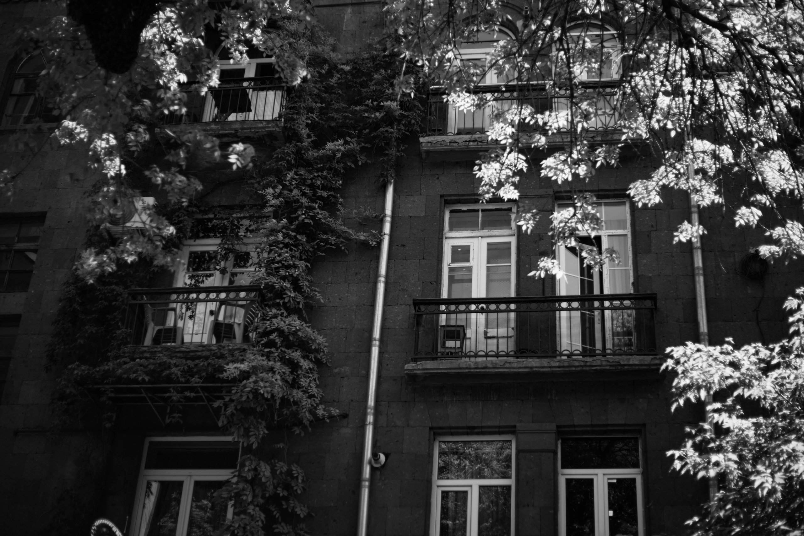 Armenia. Photographer Alina Skitovich