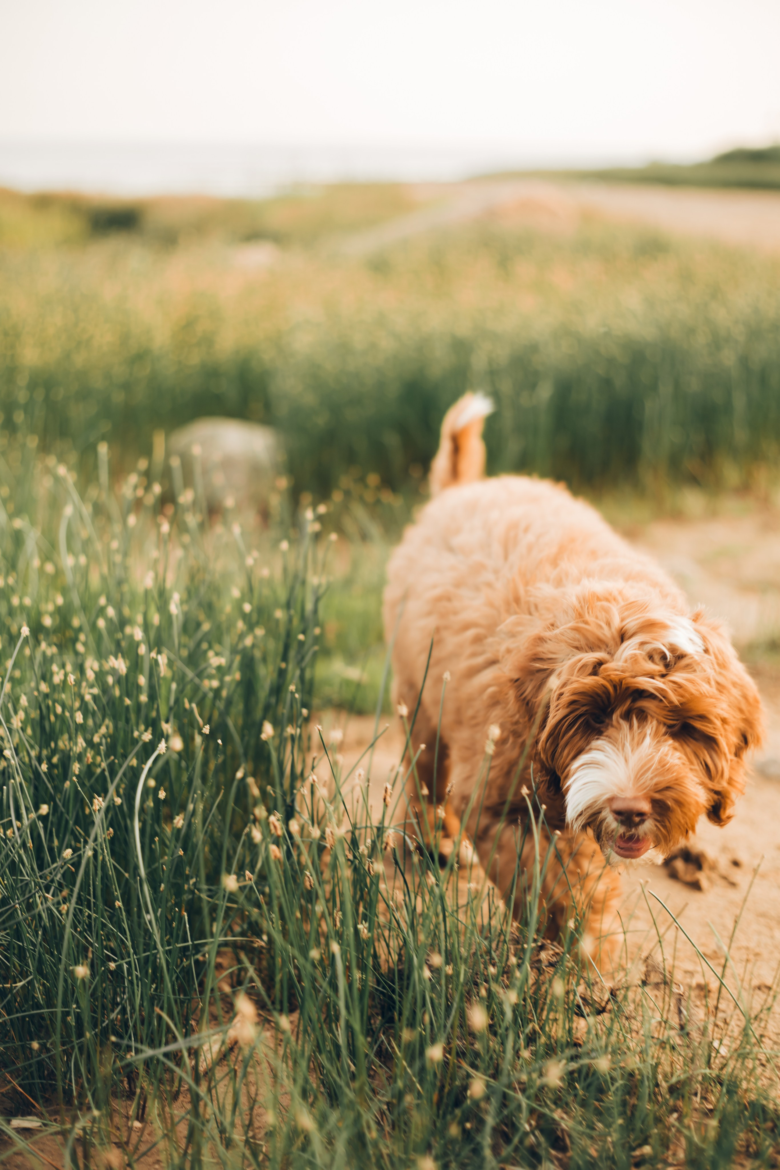 Анастасия и Тео. Фотограф Юлия Попова — JP Creative — хранитель семейной хроники в Петербурге