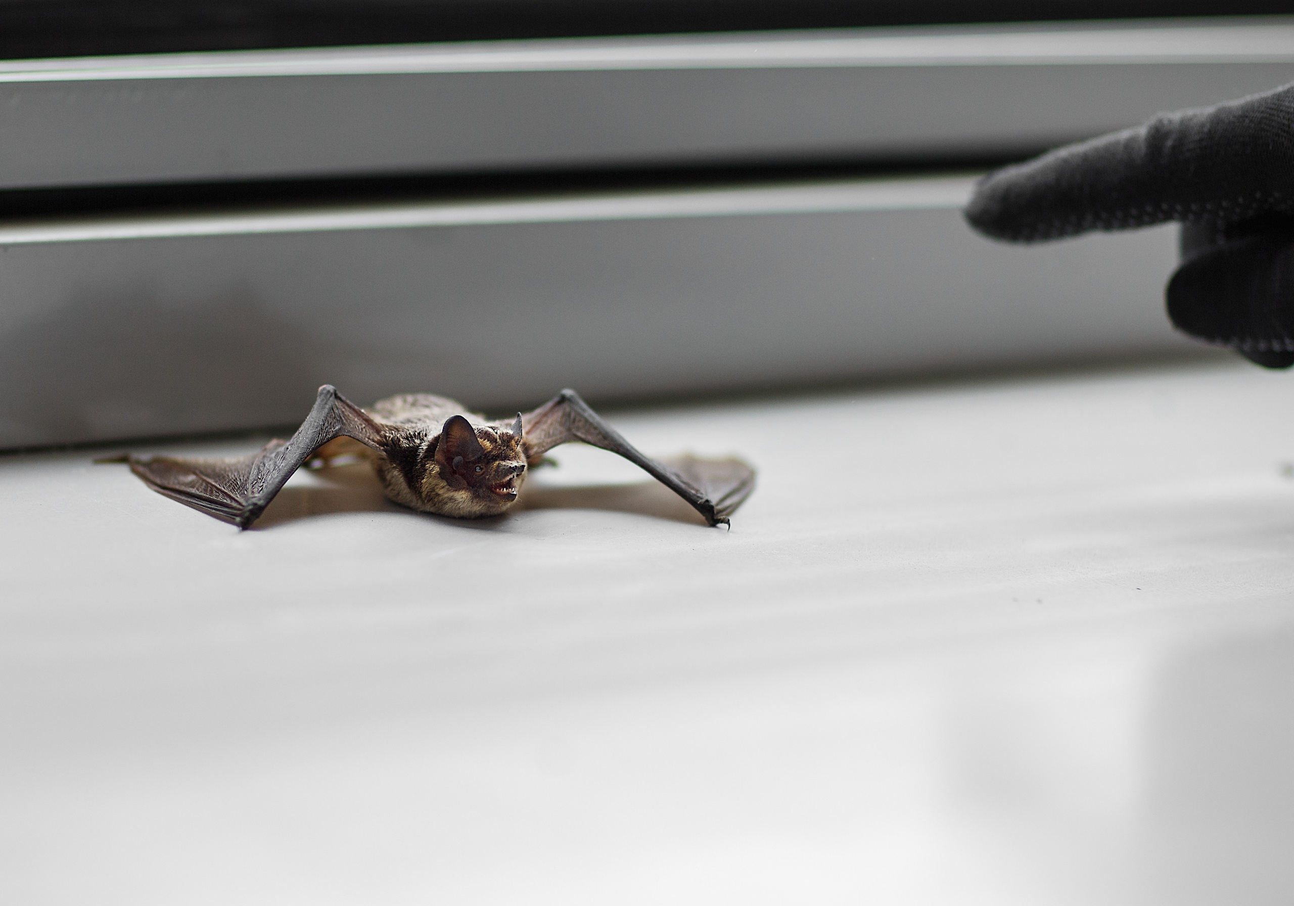 Проект «366»|2024|Фото каждый день. LENA GRACE photographer ||ЛЕНА ГРЭЙС фотограф