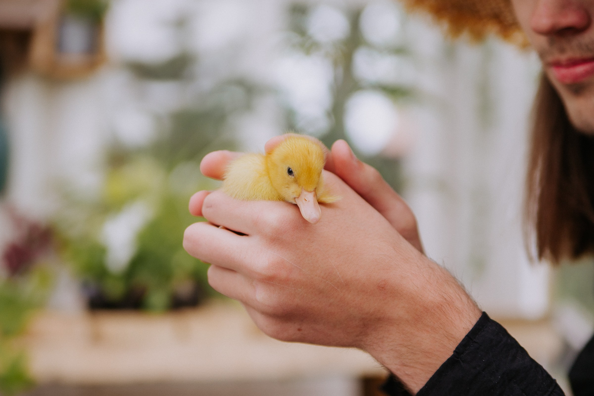 Юлия. Семейный и персональный фотограф в Ростове-на-Дону