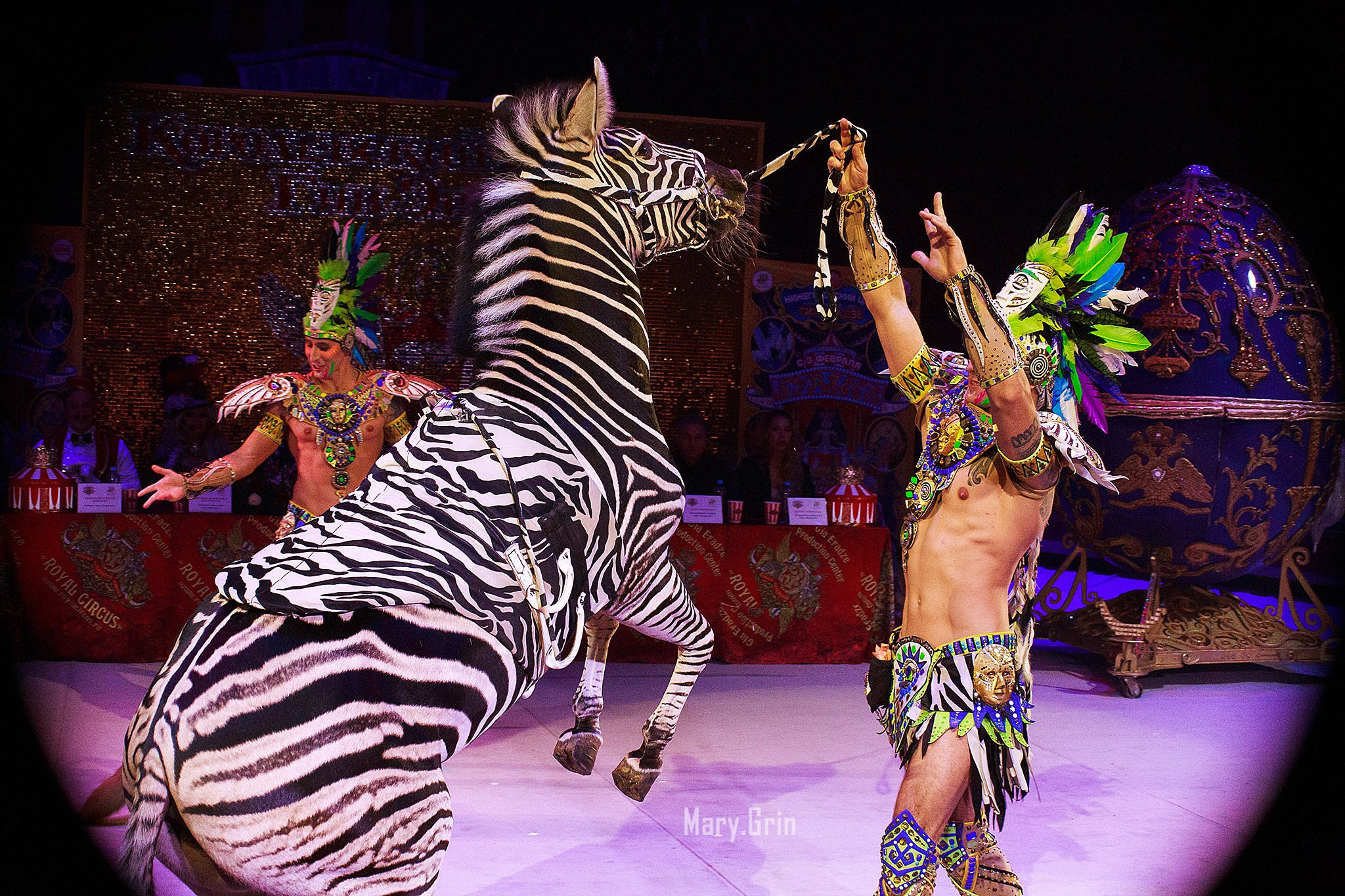 Цирк Гии Эрадзе. Детский и семейный фотограф, фотограф мероприятий Нижний Новгород