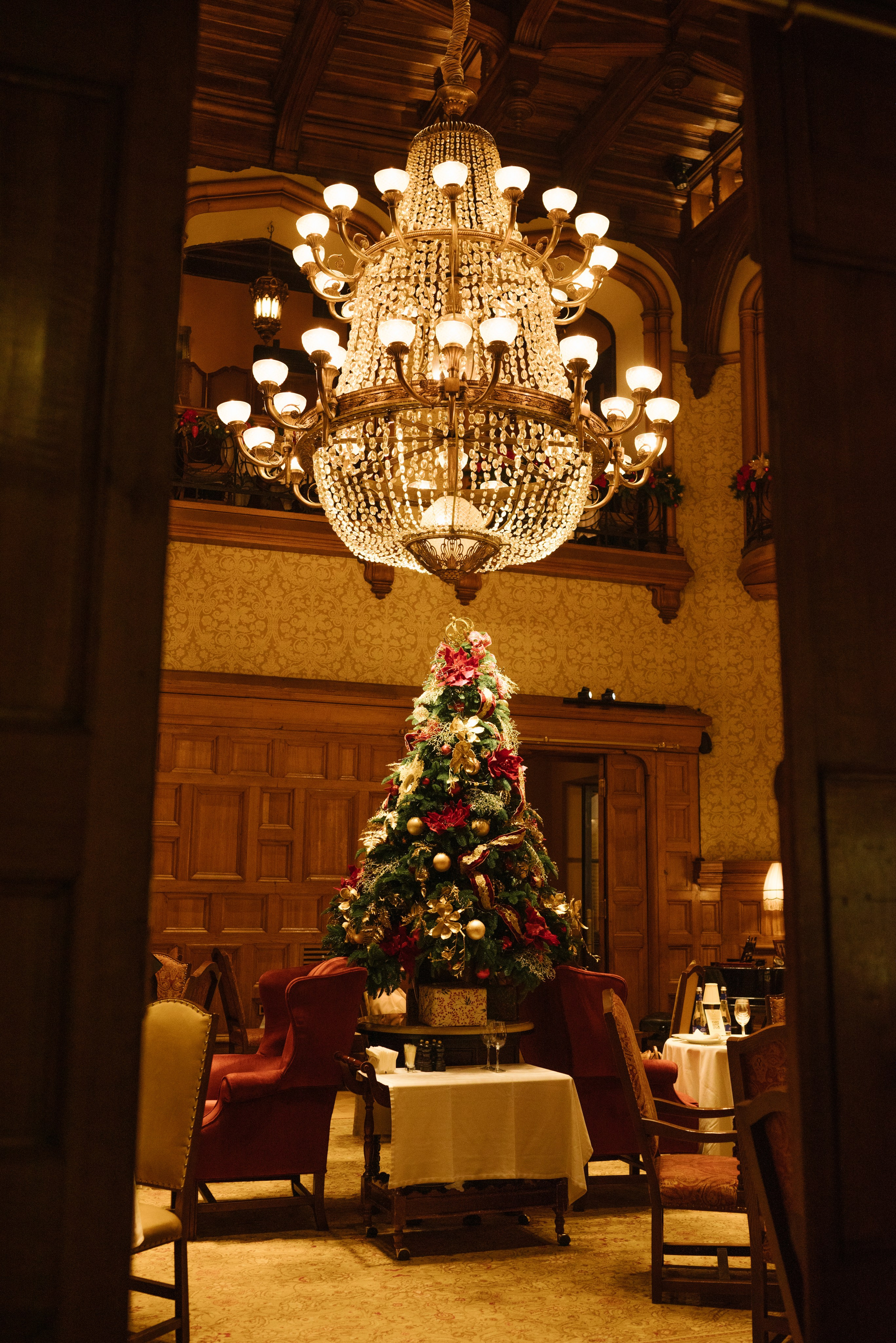 Илья и Анастасия. Ваш свадебный и семейный фотограф