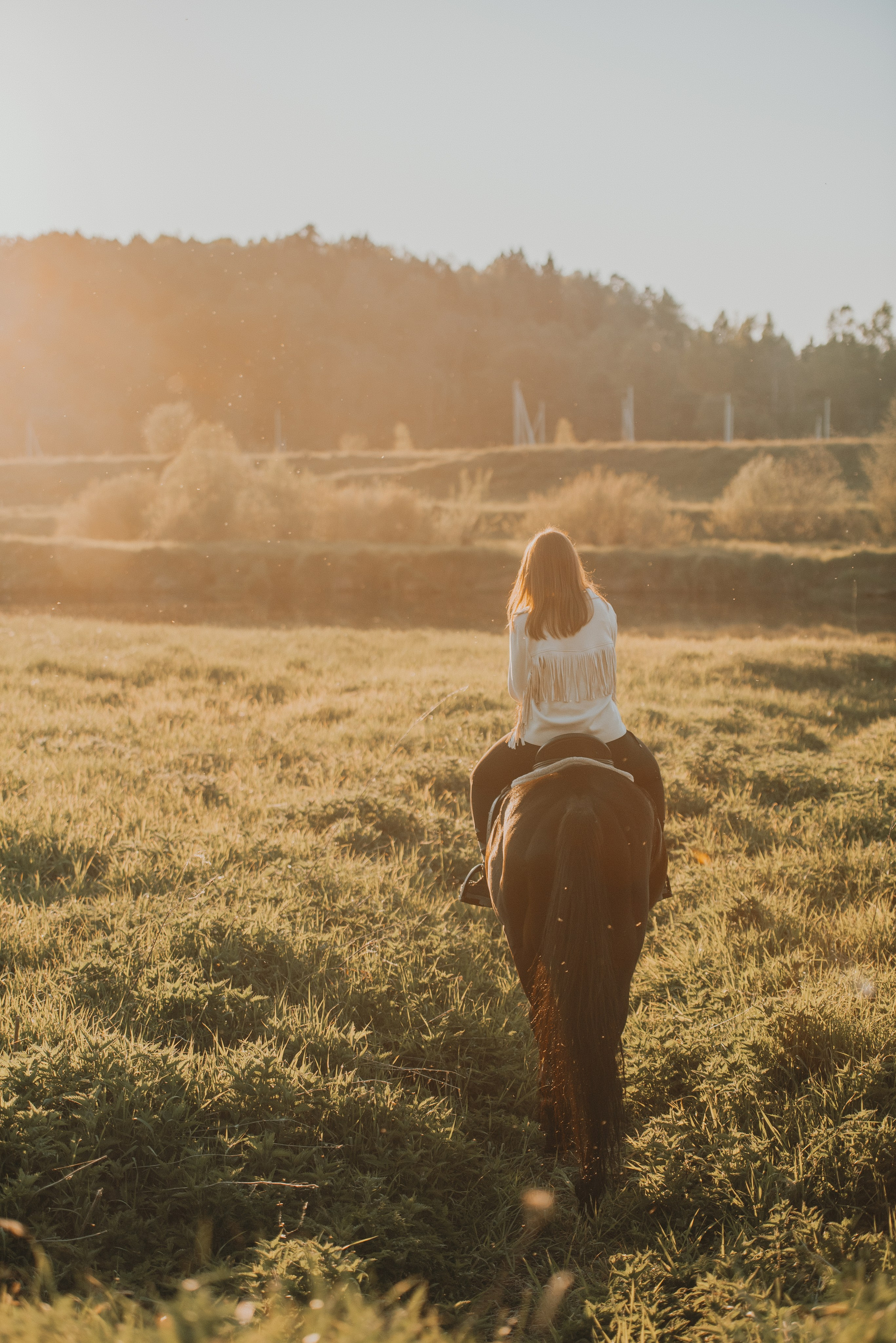 Серия с лошадью: Алина и Тархун (Москва, 2024). Анна Пушина, фотограф, Москва, Королев, Пушкино