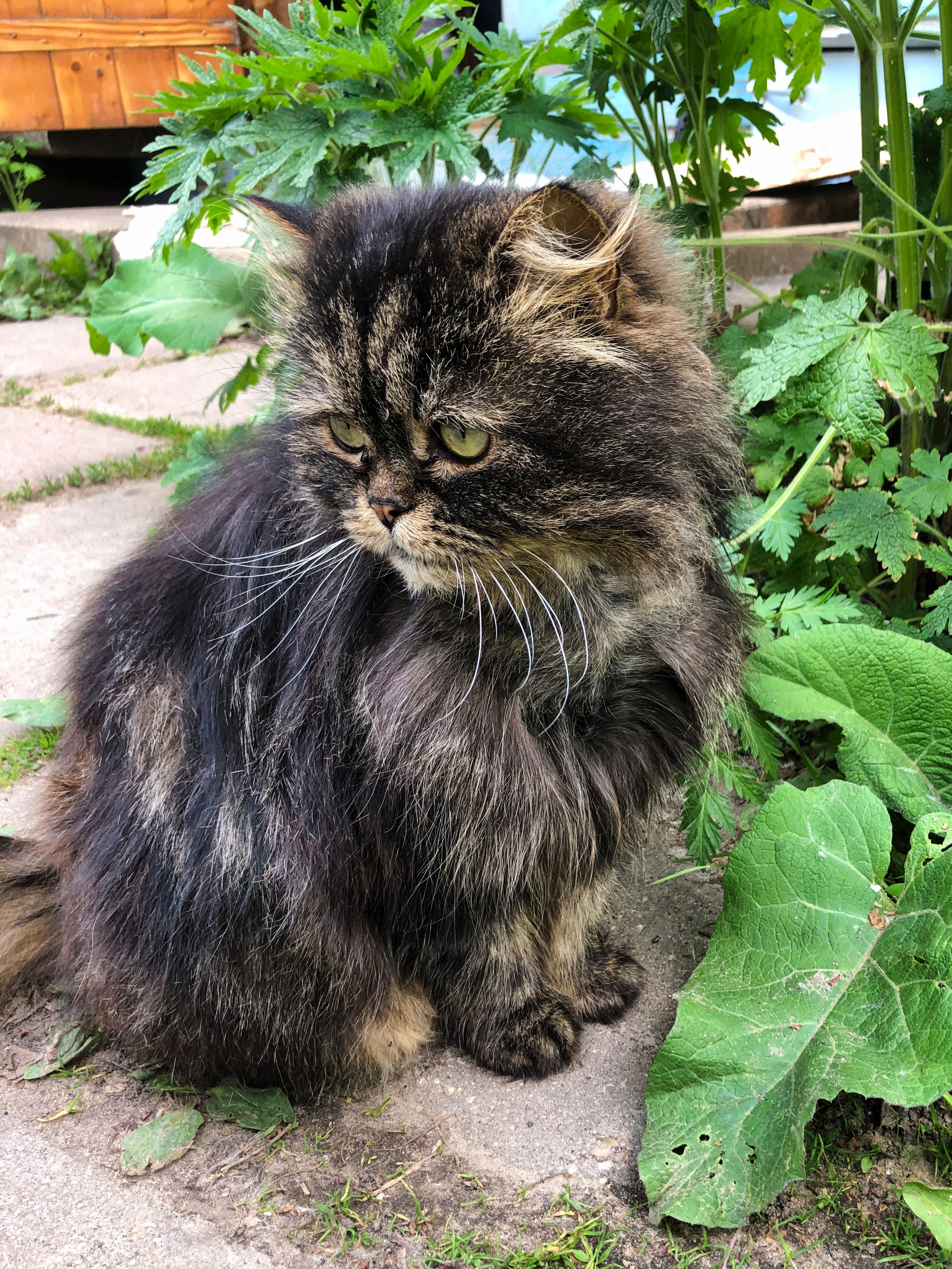 На берегу Угры. Конец мая 2024 года. Фотограф Никифоров-Гордеев Сергей. Москва и МО