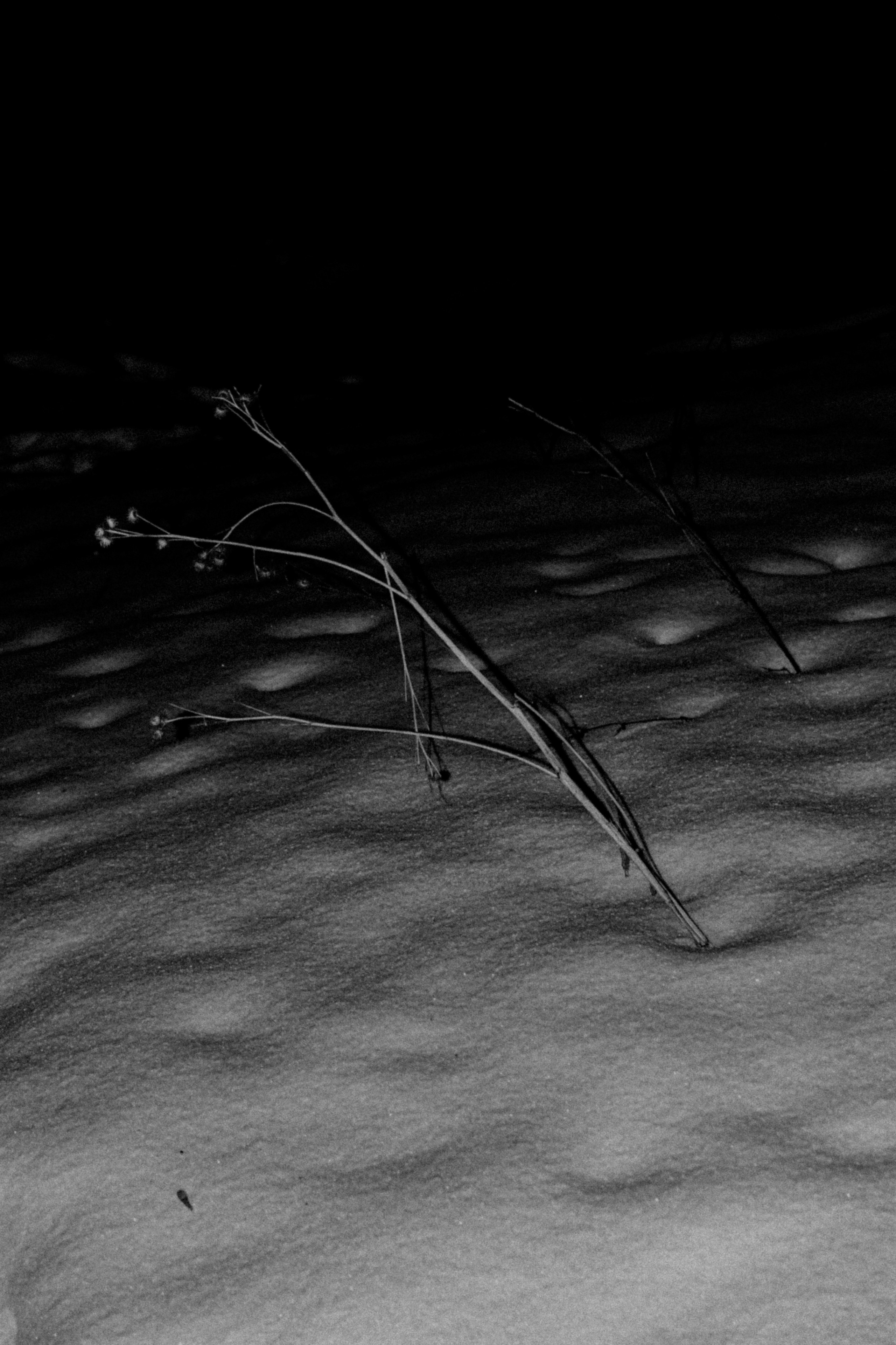 Город Н. Предание о руинах: АРХИВ ПУСТОТЫ