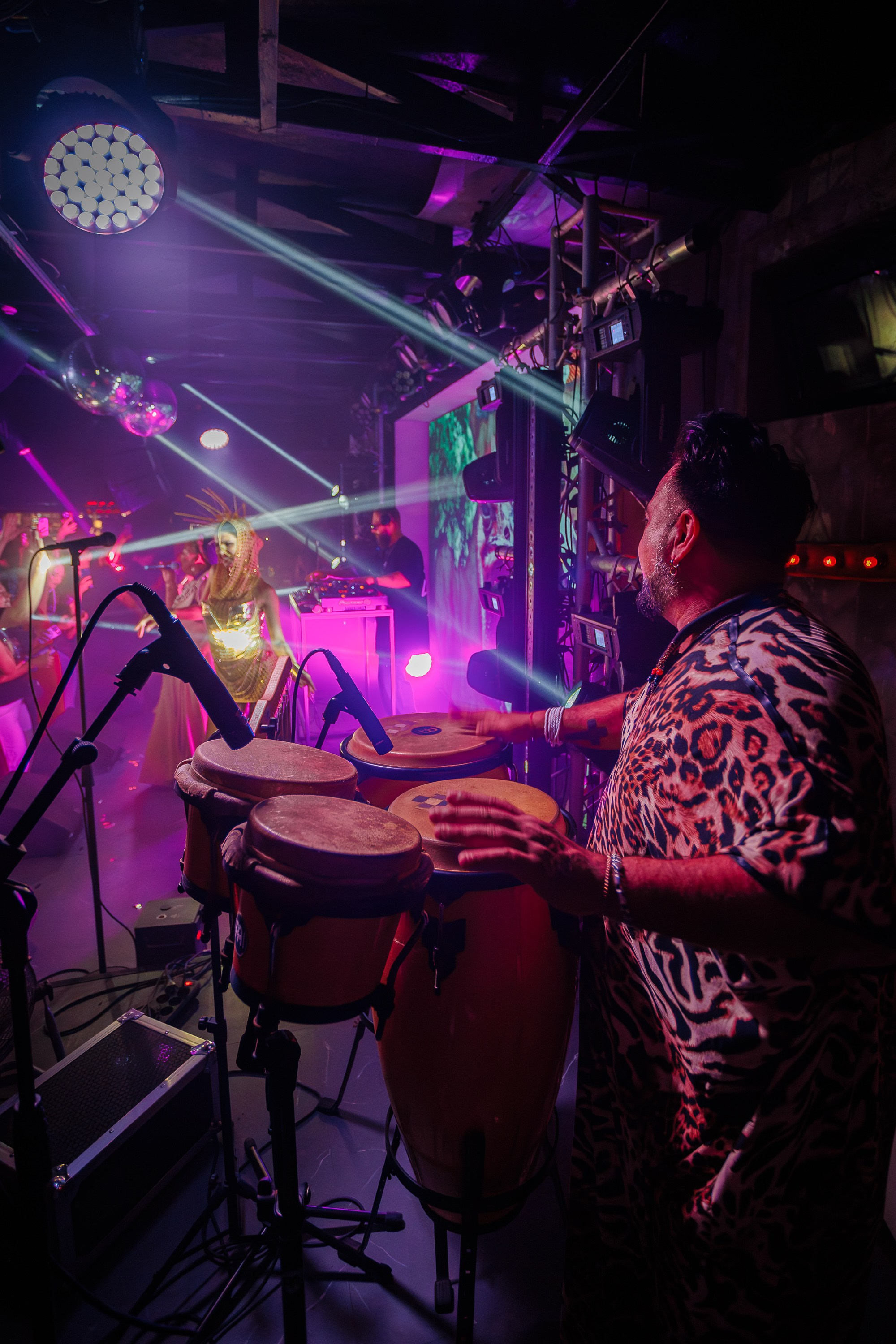 «LIZWI"_Чайка на пляже_Ялта_7.06.2025. Аминов Руслан | Фотограф