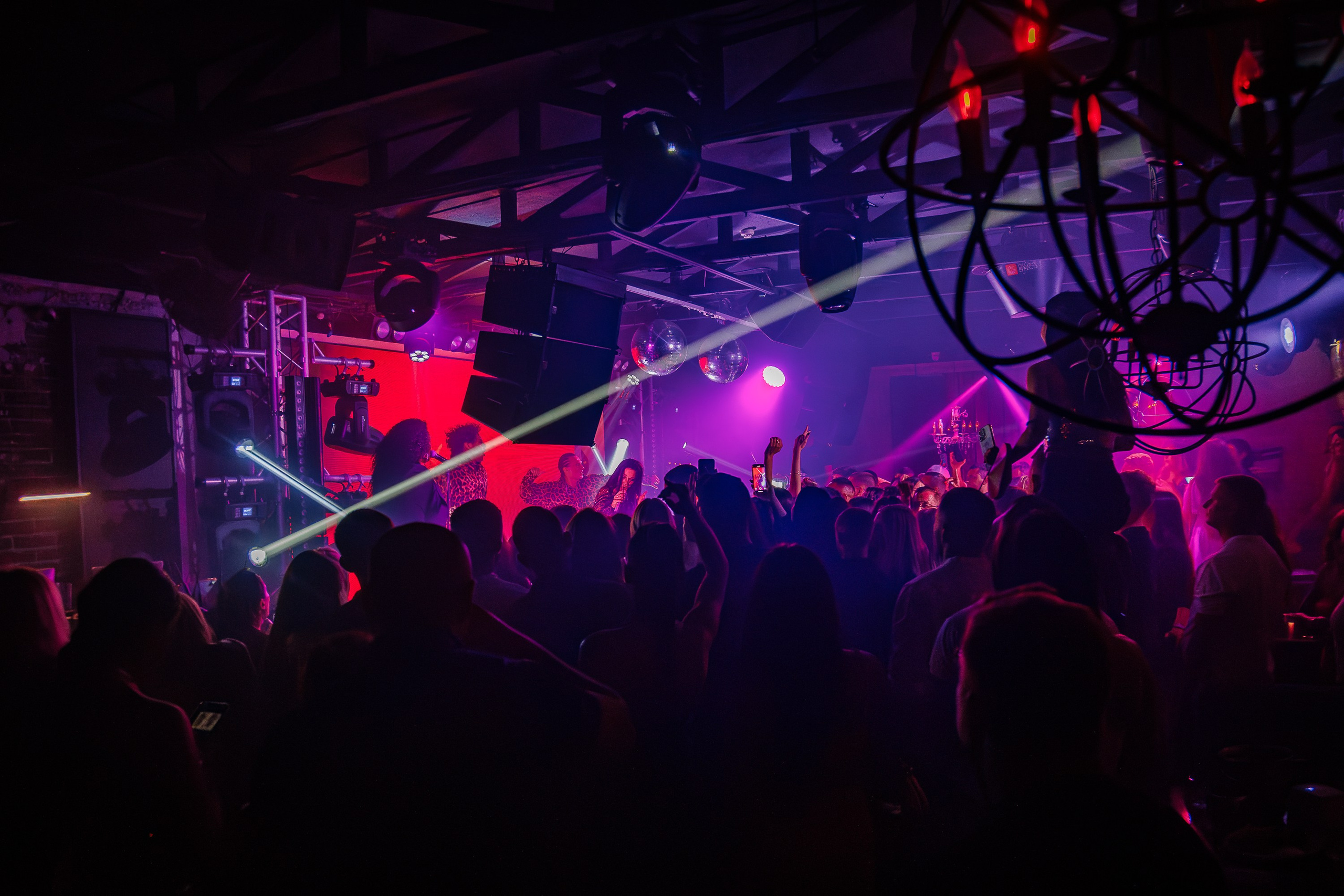 «Бьянка"_Чайка на пляже_Ялта_25.07.2025 г. Аминов Руслан | Фотограф