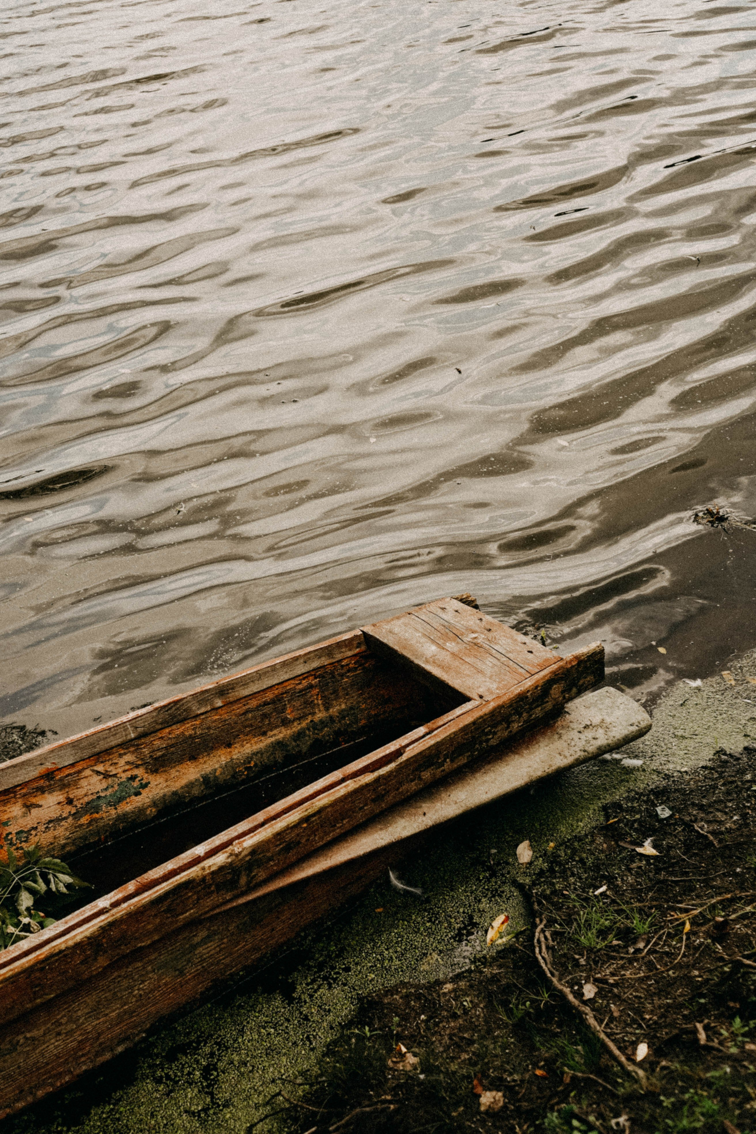 Домик в деревне. Профессиональный фотограф, Санкт-Петербург — Виктория Богомолова