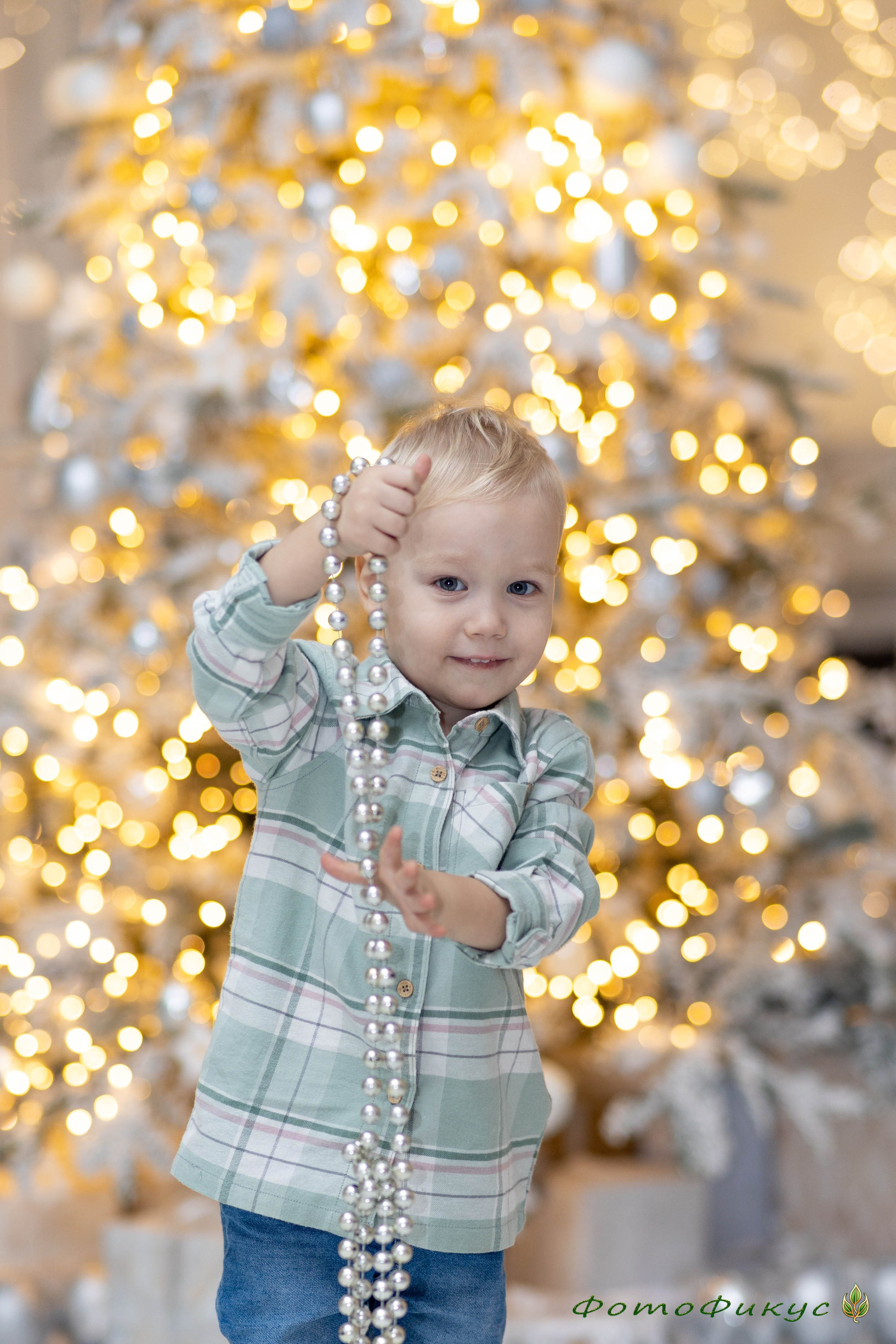 Новогодние. Фотографы Евгений и Екатерина. Фотофикус. Тюмень