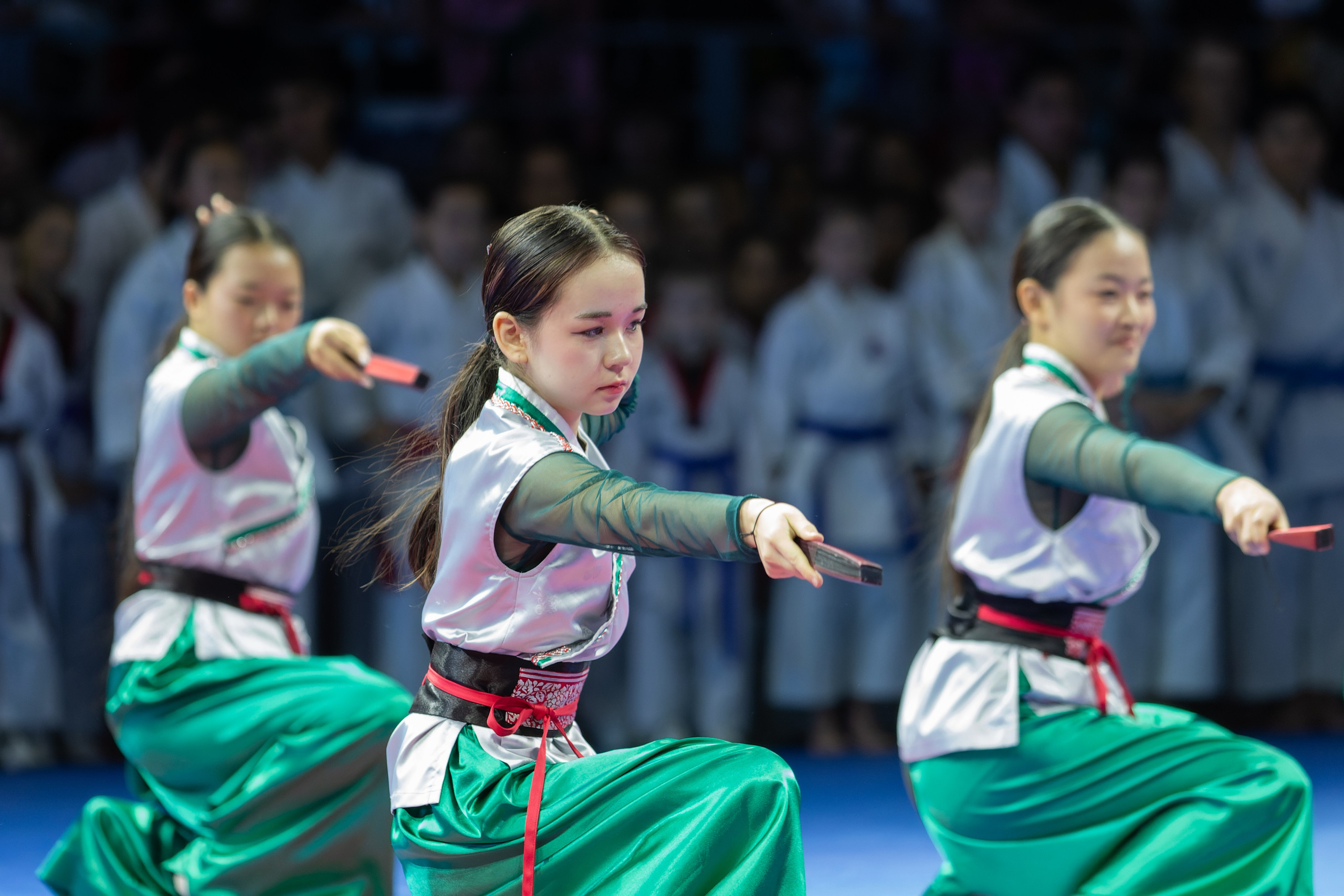 Дальневосточный фестиваль восточных единоборств. Кутузов Евгений Фотограф в Южно-Сахалинске