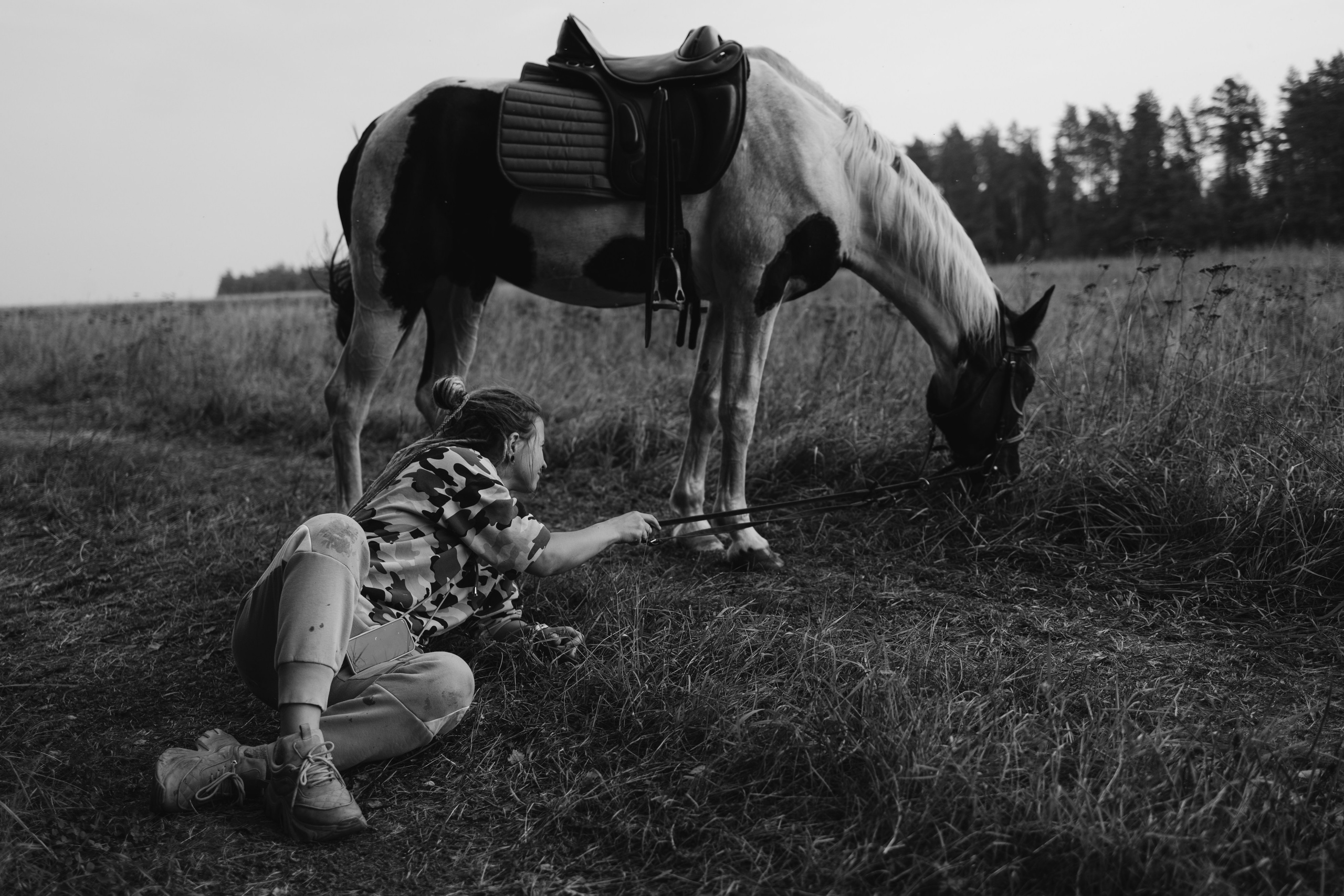 Лошади. Ваш фотограф в Москве и области Юлия