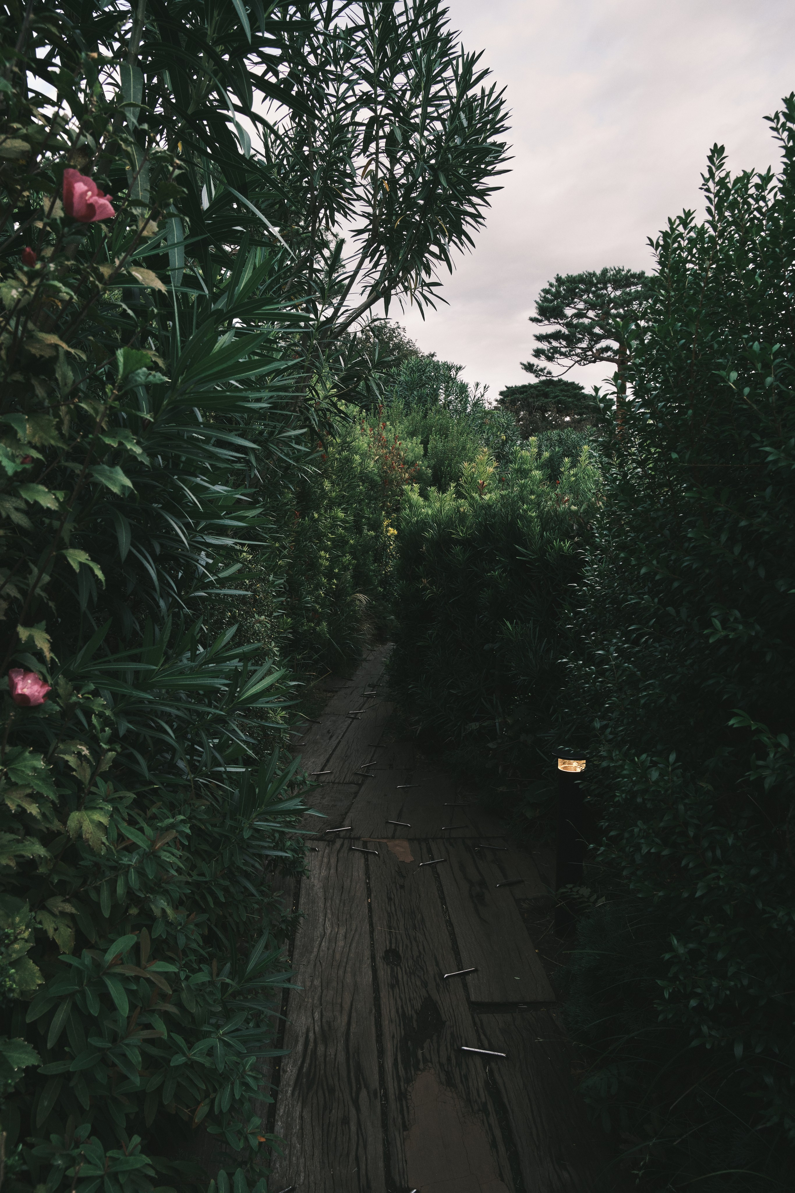 Музей, посвящённый аниме производства Studio Ghibli. Токио, Япония.