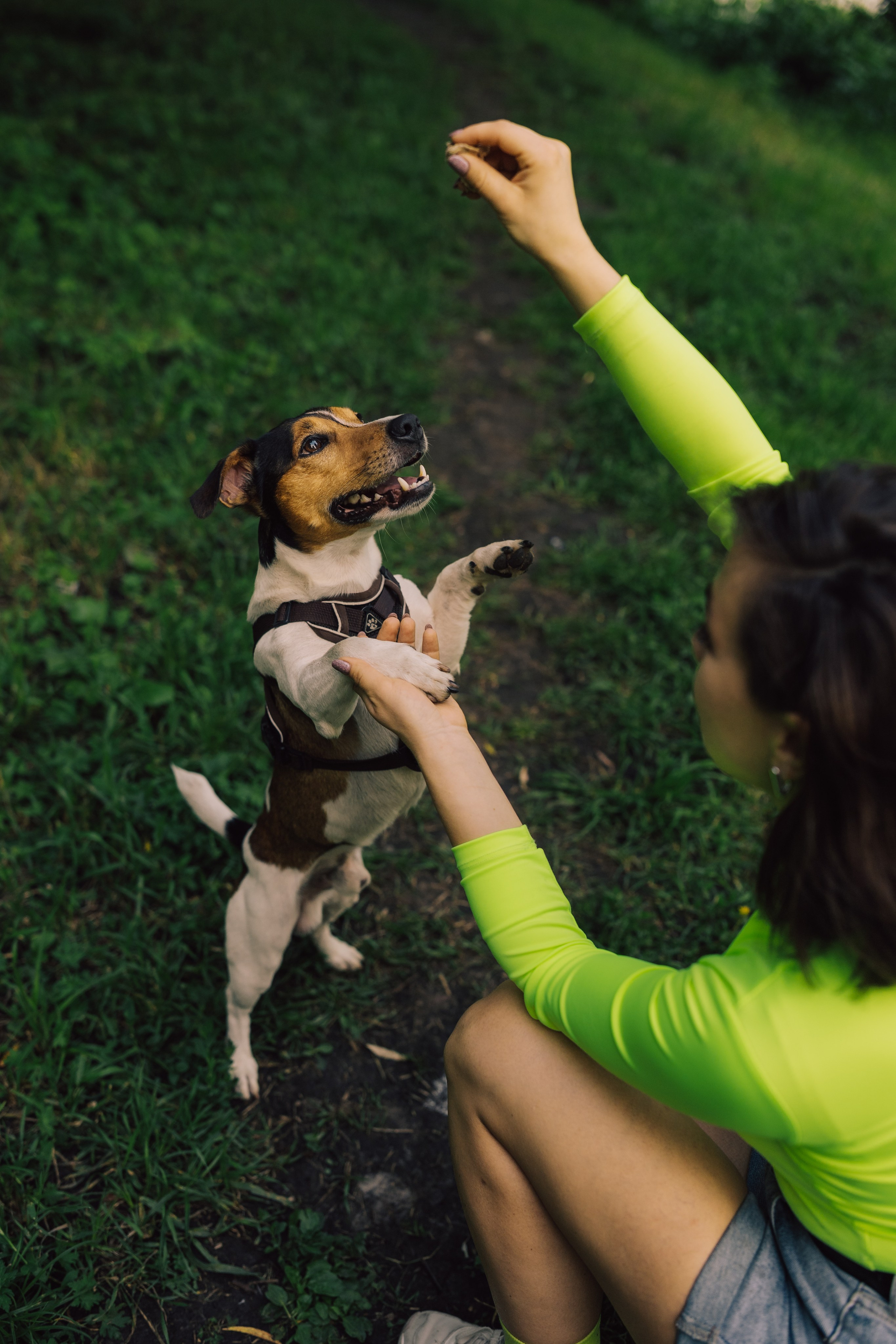 Оля Верхутина и Пипито. Фотограф в Москве Ангелина Ким