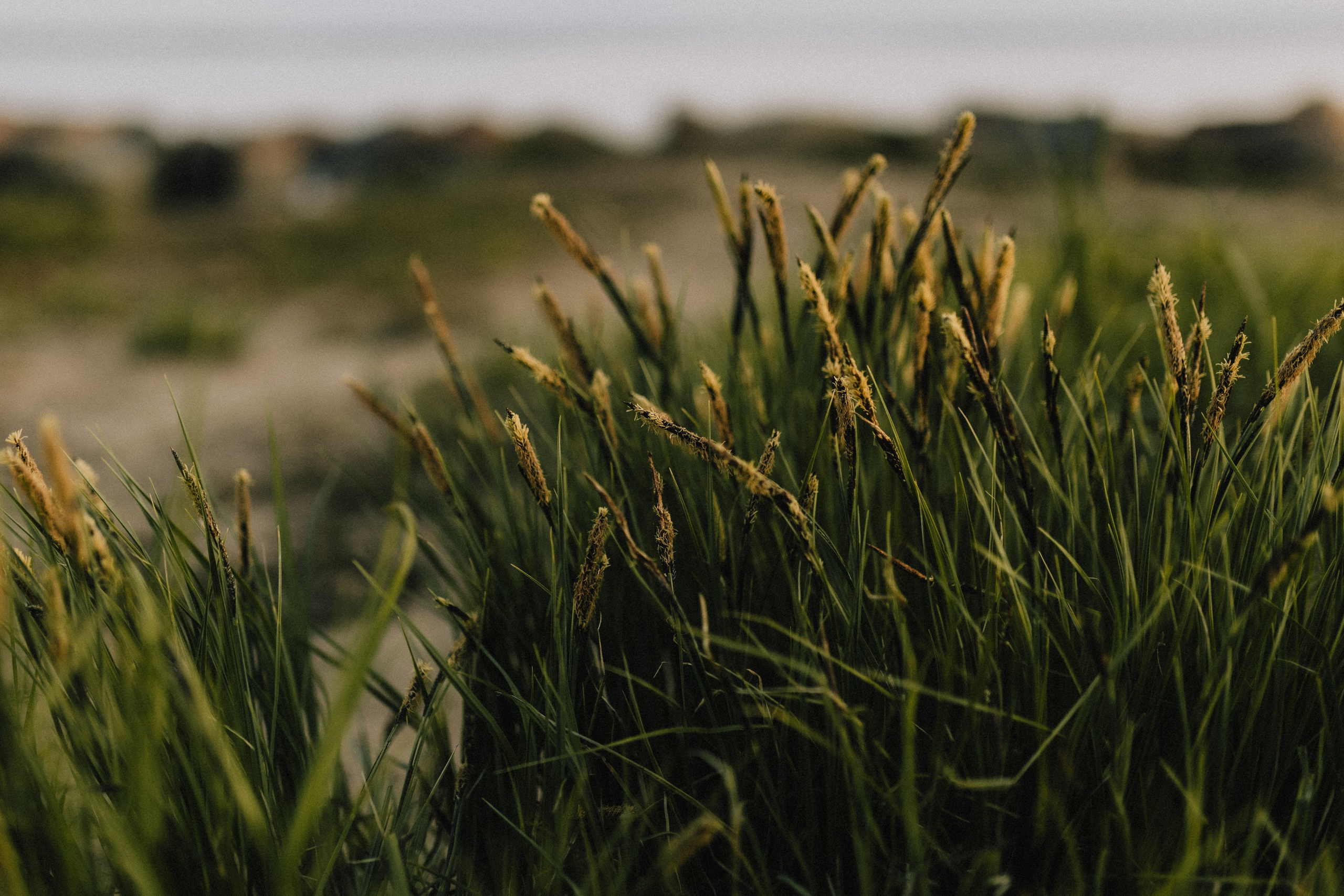 Ксения и Александр. Фотограф в Санкт-Петербурге
