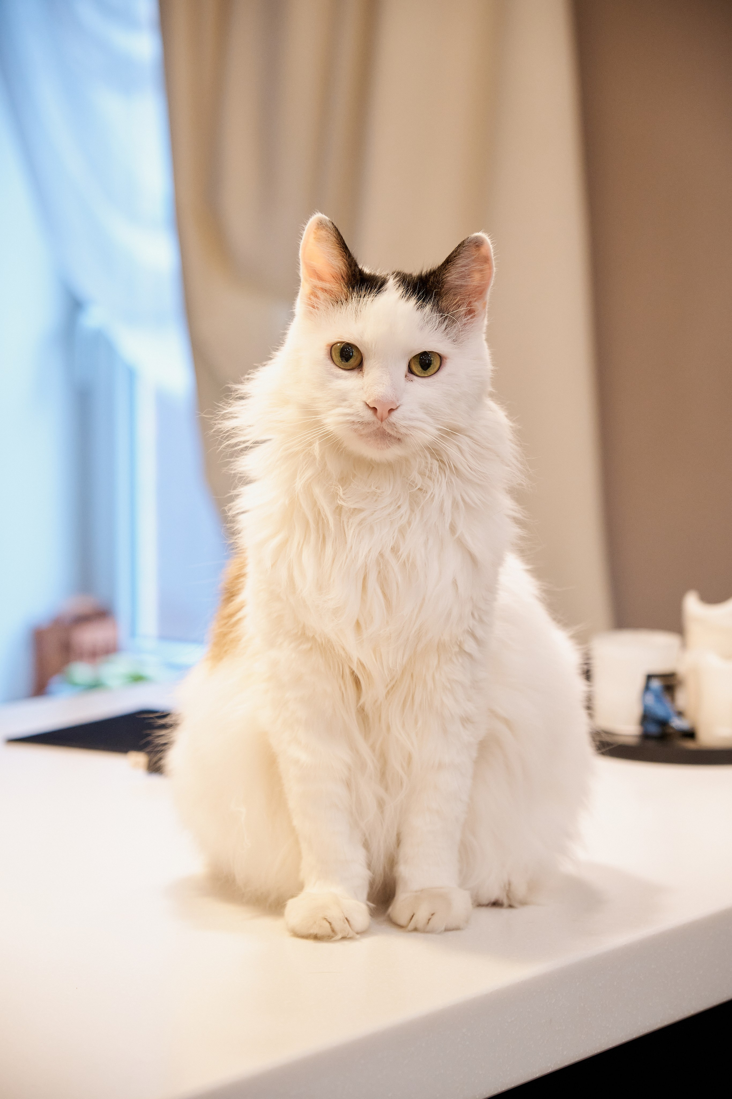 Семейная фотосессия дома. Фотограф Таганрог Анна Трайжон