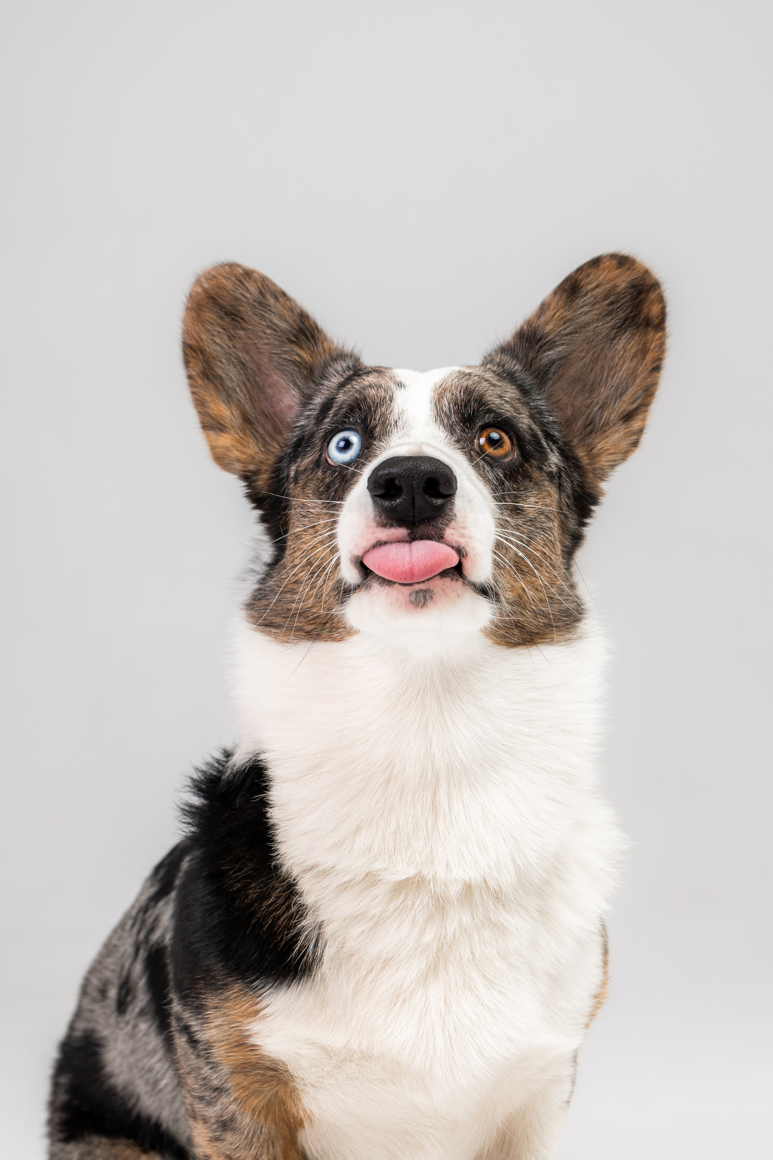 Анатолий и Рагнар