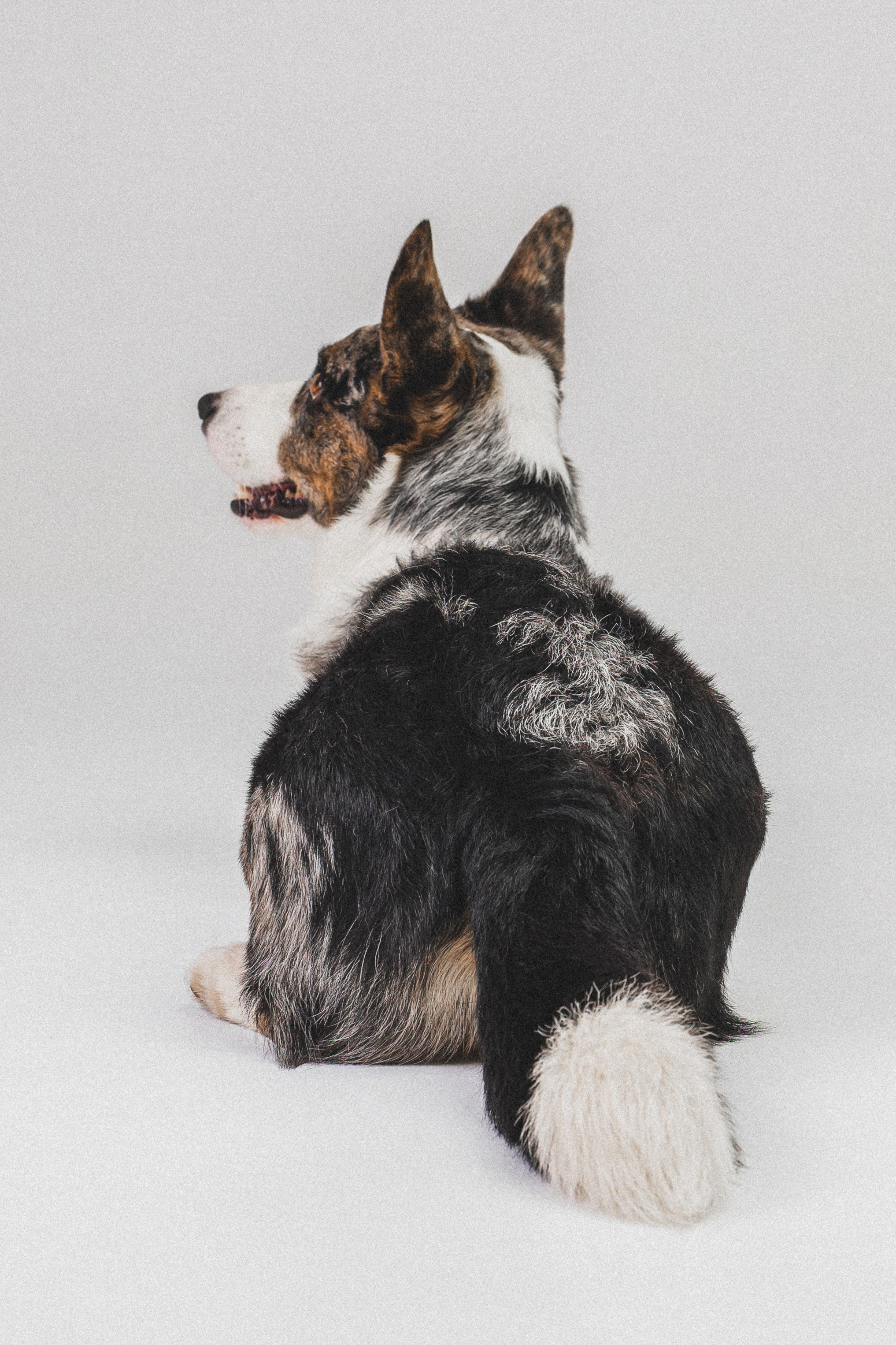 Анатолий и Рагнар