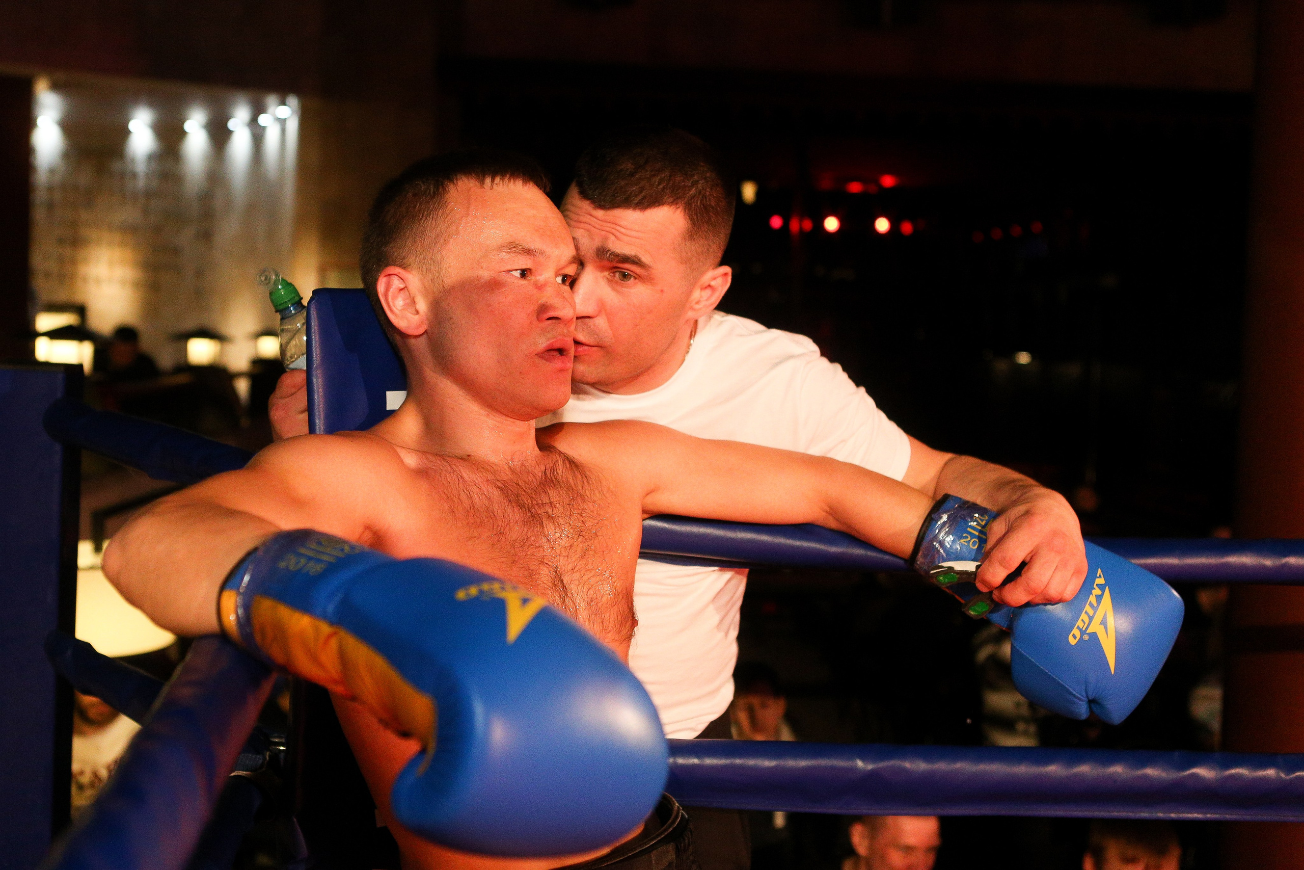 БОКС Империя Цынь, турнир первый. Фотограф Александр Заломаев