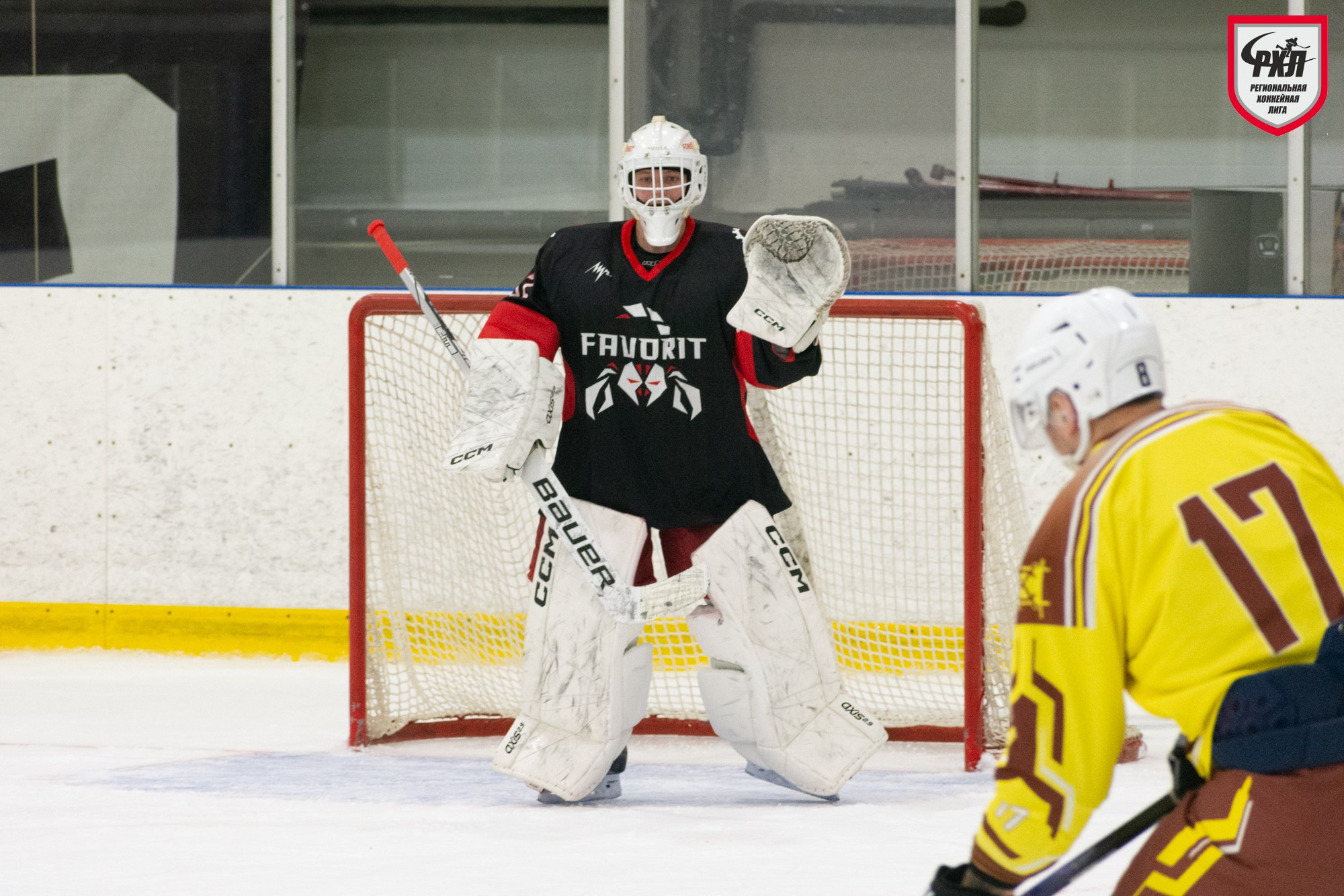 Хоккей. Фотограф Максим Буряк
